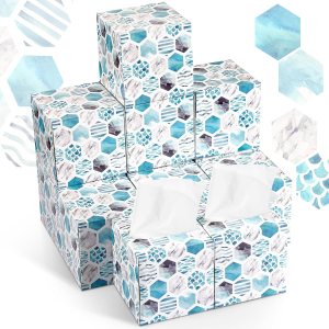 Paquete de 12 cajas de pañuelos faciales, caja de pañuelos con 80 pañuelos por caja, 2 capas de tejido facial suave a granel, caja cuadrada para Paquete de 12 cajas de pañuelos faciales, caja de pañuelos con 80 pañuelos por caja, 2 capas de tejido facial suave a granel, caja cuadrada para