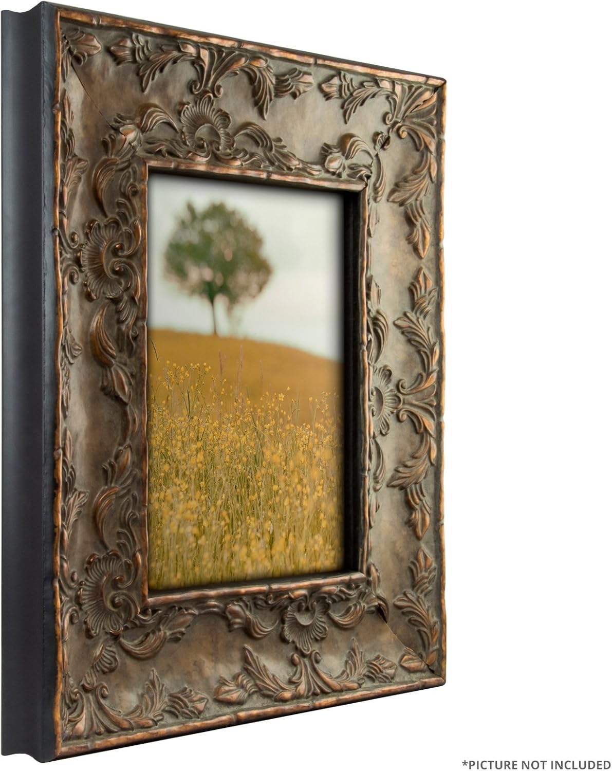 Craig Frames – Marco de fotos, varios estilos, 2.5 a 4 pulgadas de ancho, diferentes opciones de tamaño y color