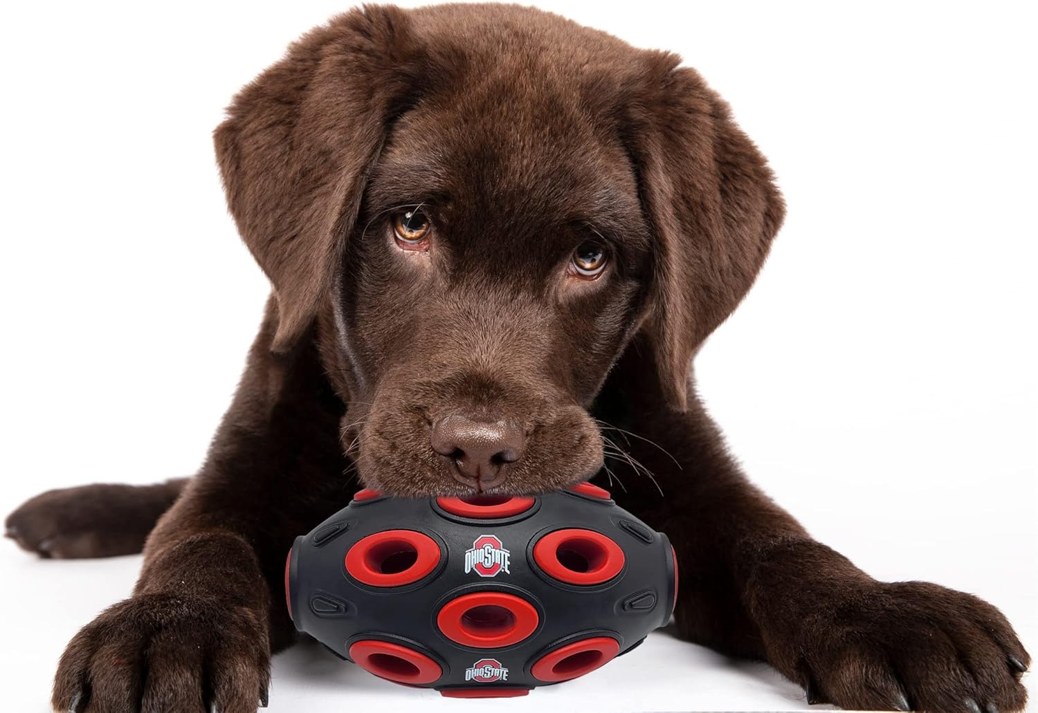 Pets First NCAA Ohio State Buckeyes Football Treat Dispensing Toy for Dogs and Cats, Rubber Ball Dog Toy, Interactive Fun Dog Treat Toy, Natural