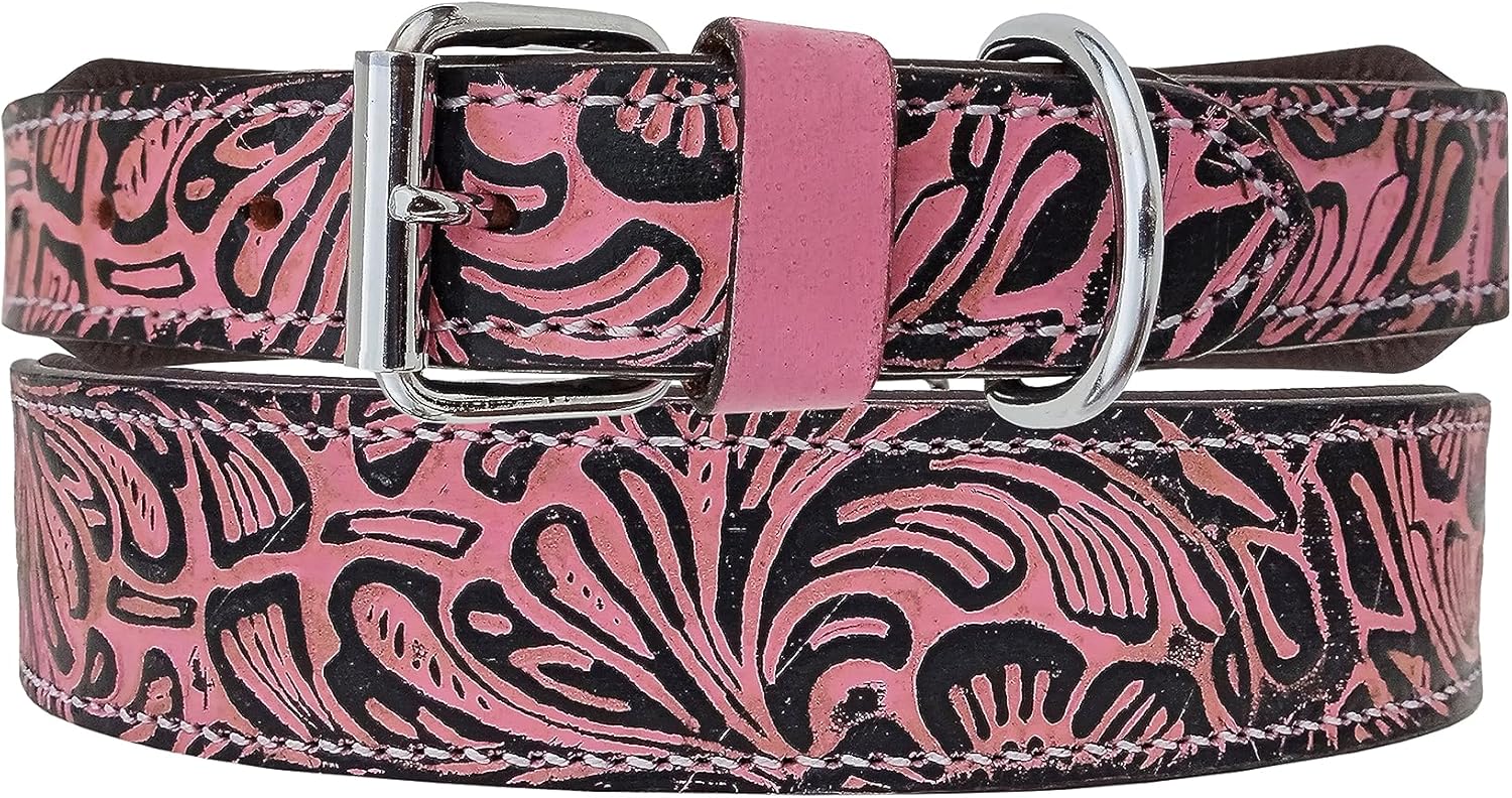 Affilare Collar de perro de cuero estilo occidental resistente acolchado para cachorros y perros grandes 10AB134-XS