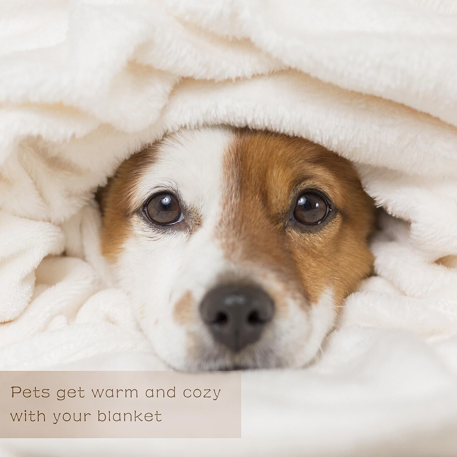BUYYET Wild Adventure – Manta de franela de forro polar de animales del bosque, manta de regalo ligera y suave, bonita manta acogedora para cama,