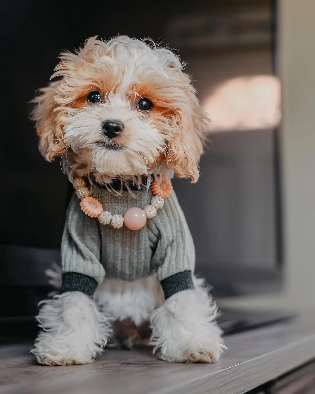 Fitwarm Ropa ligera de punto para mascotas, pijama para perro, pijama gris, L, gris
