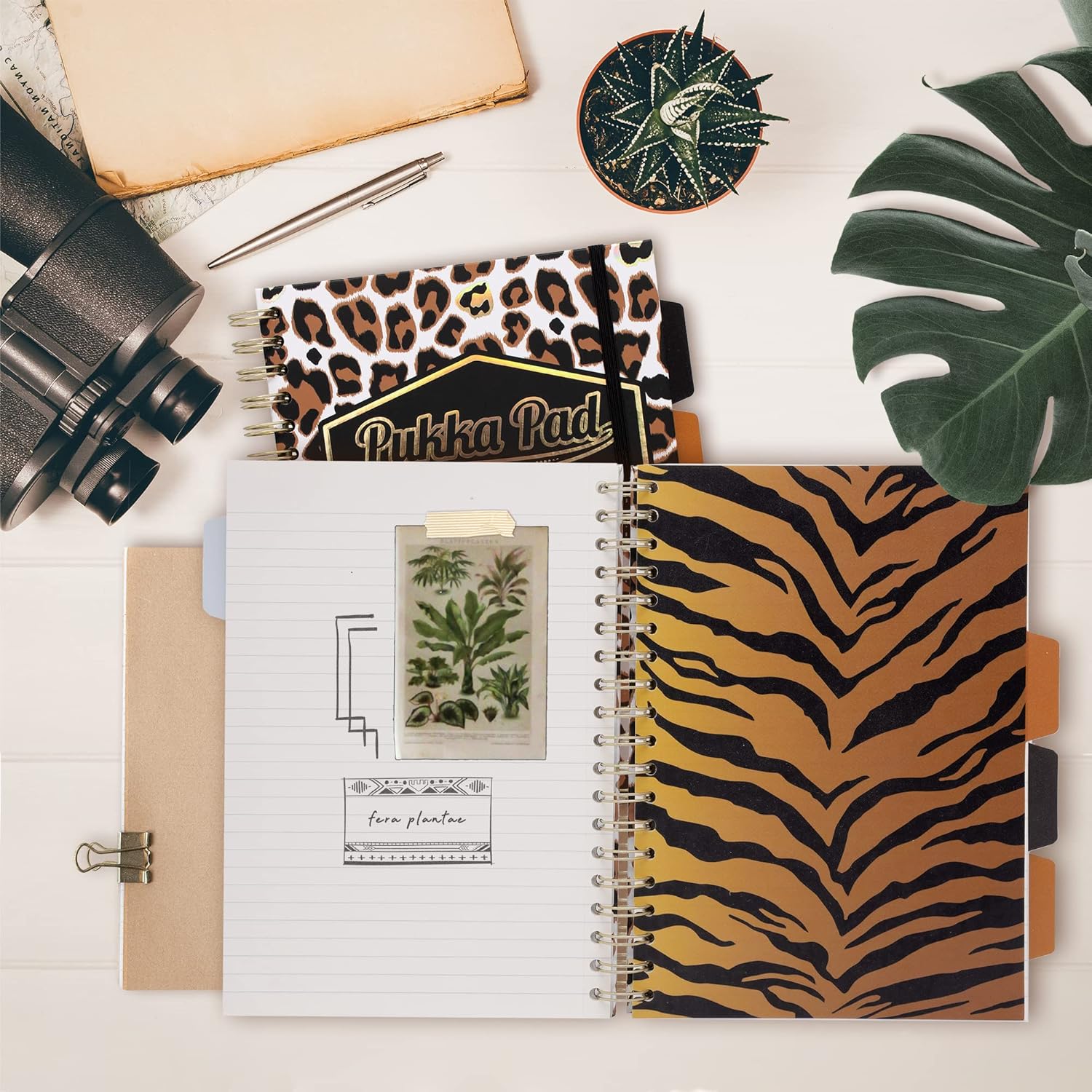 Pukka Pad, Wild B5 – Libros de proyectos de tapa dura, paquete de 2 cuadernos encuadernados con diseño de cebra y leopardo, incluye 4 divisores