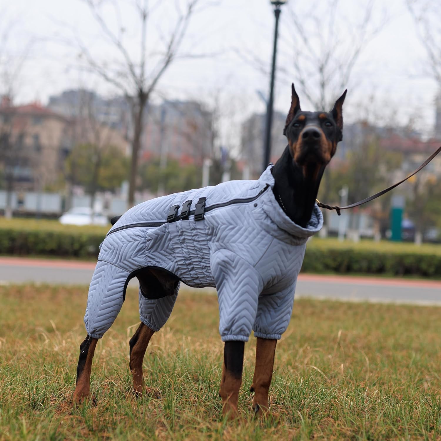 Abrigo cálido para perro, chaleco de doble capa para perro, 4 patas cubiertas, resistente al viento, impermeable, reflectante, chaleco cálido para