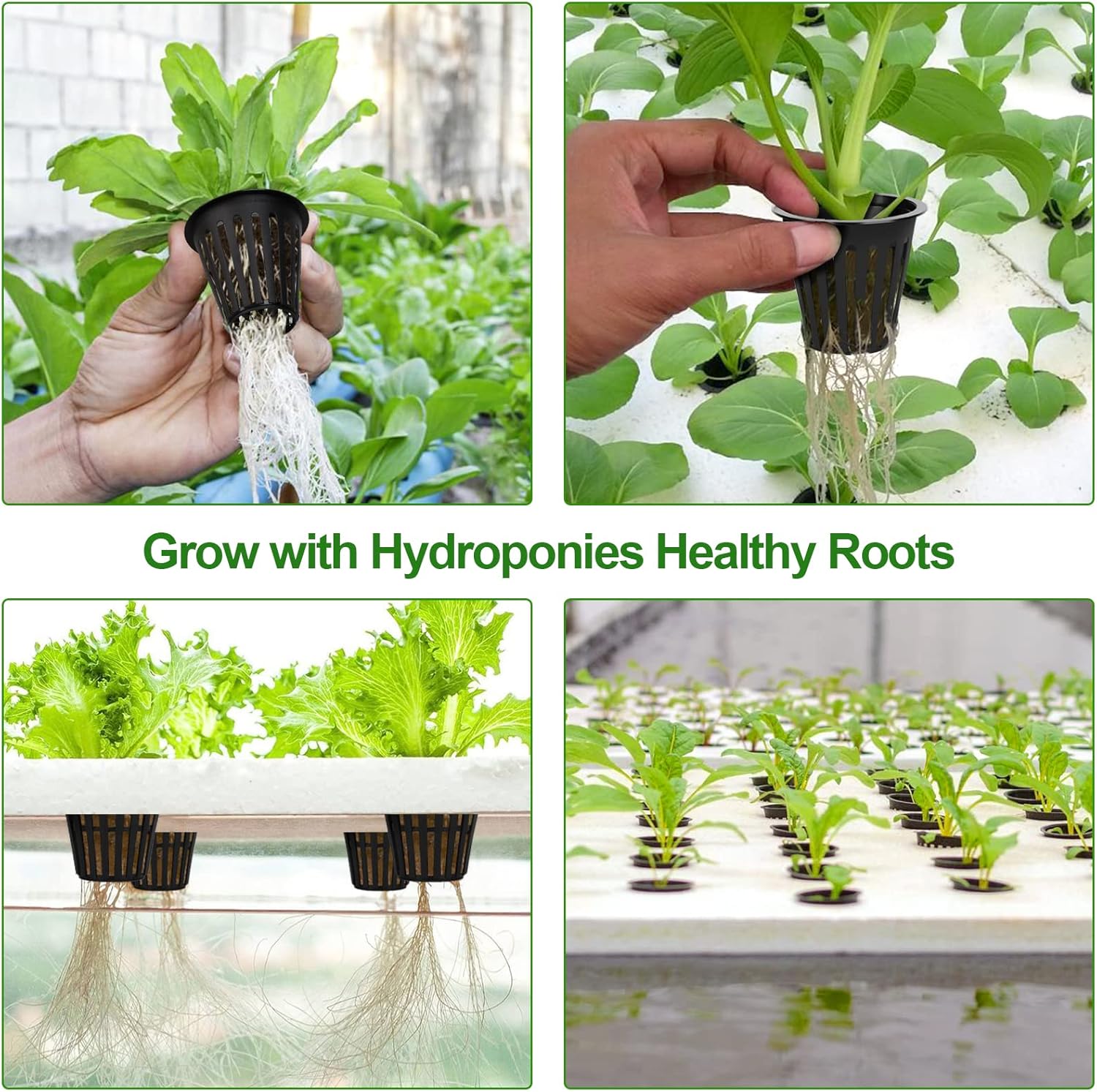 HXSEMAYIG 50 macetas de red de 2 pulgadas, taza hidropónica, tazas de red para cultivo en interiores o exteriores