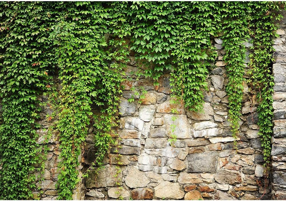 wall26 Mural de pared Las exuberantes plantas en pared de ladrillo antiguo, papel tapiz autoadhesivo grande extraíble – 100×144 pulgadas