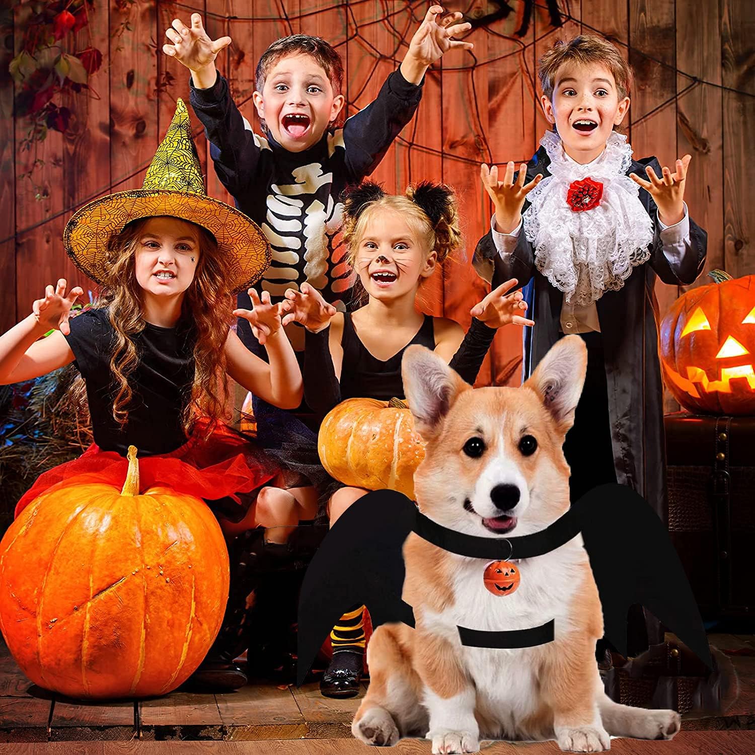 Alas de murciélago para perro, disfraz de Halloween para perros medianos y grandes, ropa divertida para perros con correas y campanas de calabaza,