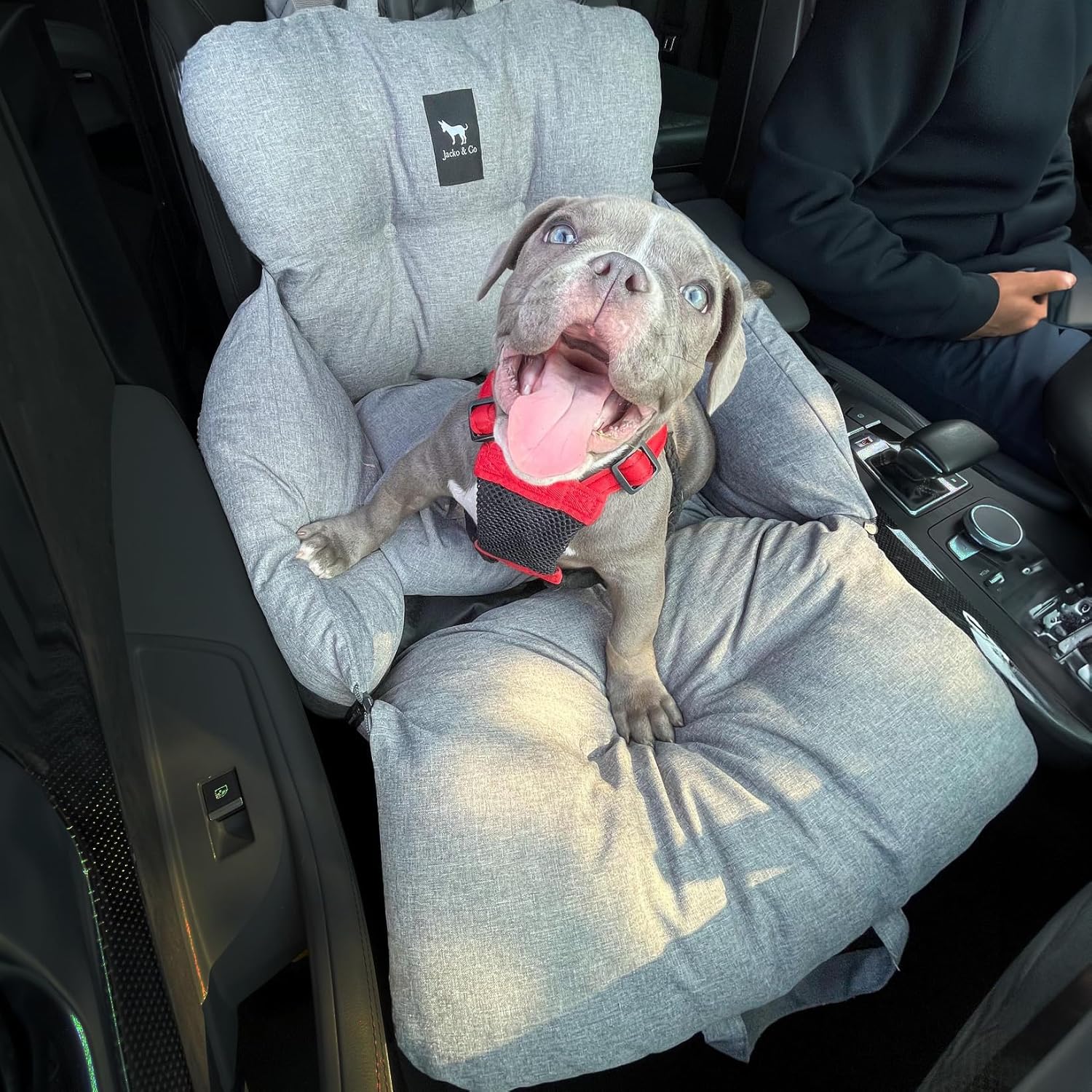 JACKO & CO – Asiento de coche para perros de alta calidad y asiento elevador para mascotas pequeñas y medianas de menos de 30 libras, cachorros,