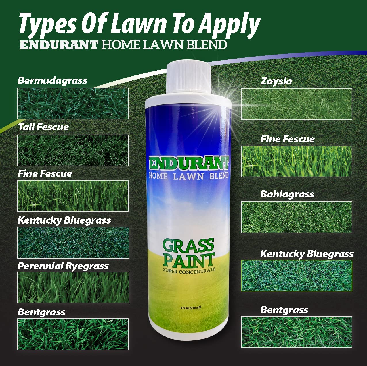 Endurant Home Lawn Blend Colorante concentrado  La pintura de césped revitaliza aproximadamente 300-700 pies cuadrados de césped inactivo, afectado