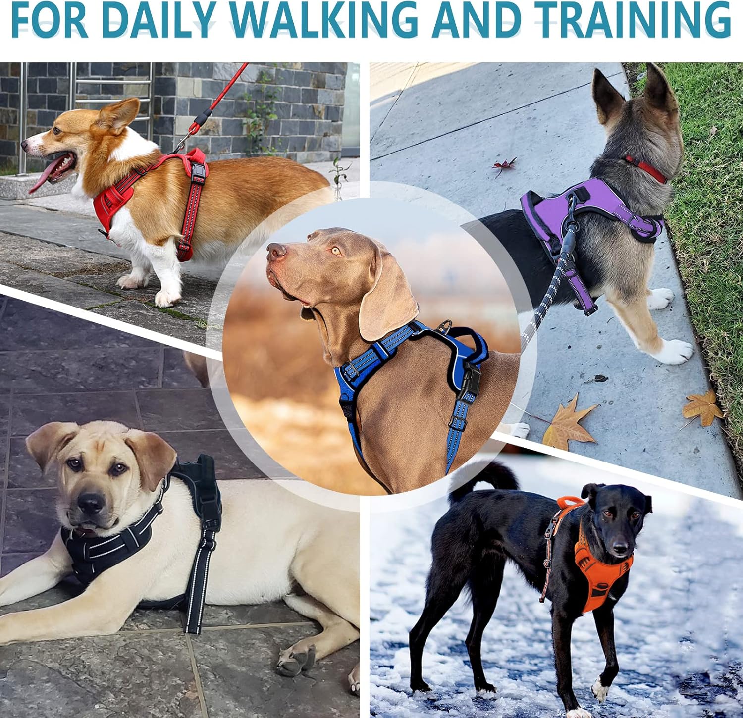 Arnés sin tirones para perros pequeños, medianos y grandes, chaleco reflectante ajustable para mascotas con clip frontal acolchado para perros, asa