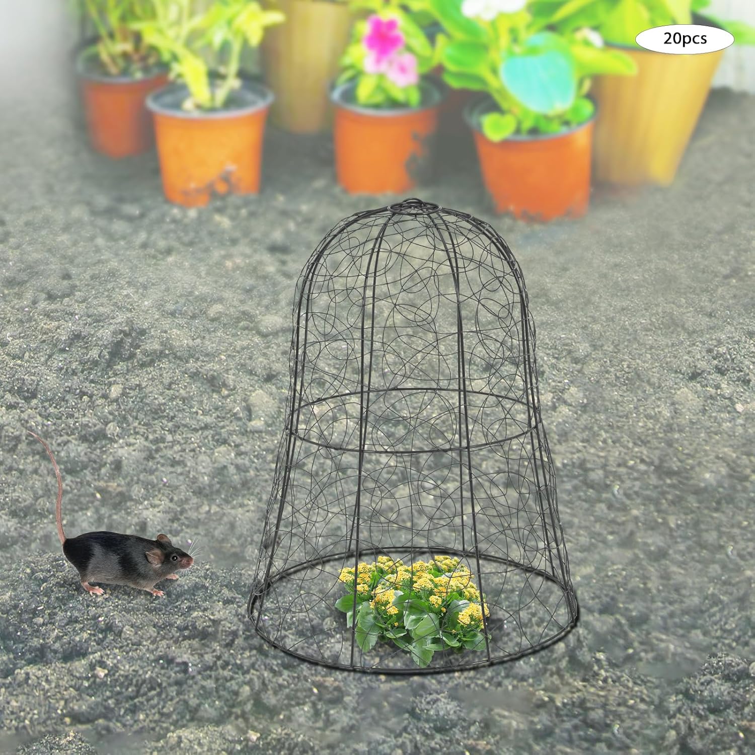 Paquete de 20 Cloches de alambre de pollo para jardín, 12.99 pulgadas de profundidad x 15.75 pulgadas de alto, protectores y cubiertas de plantas,