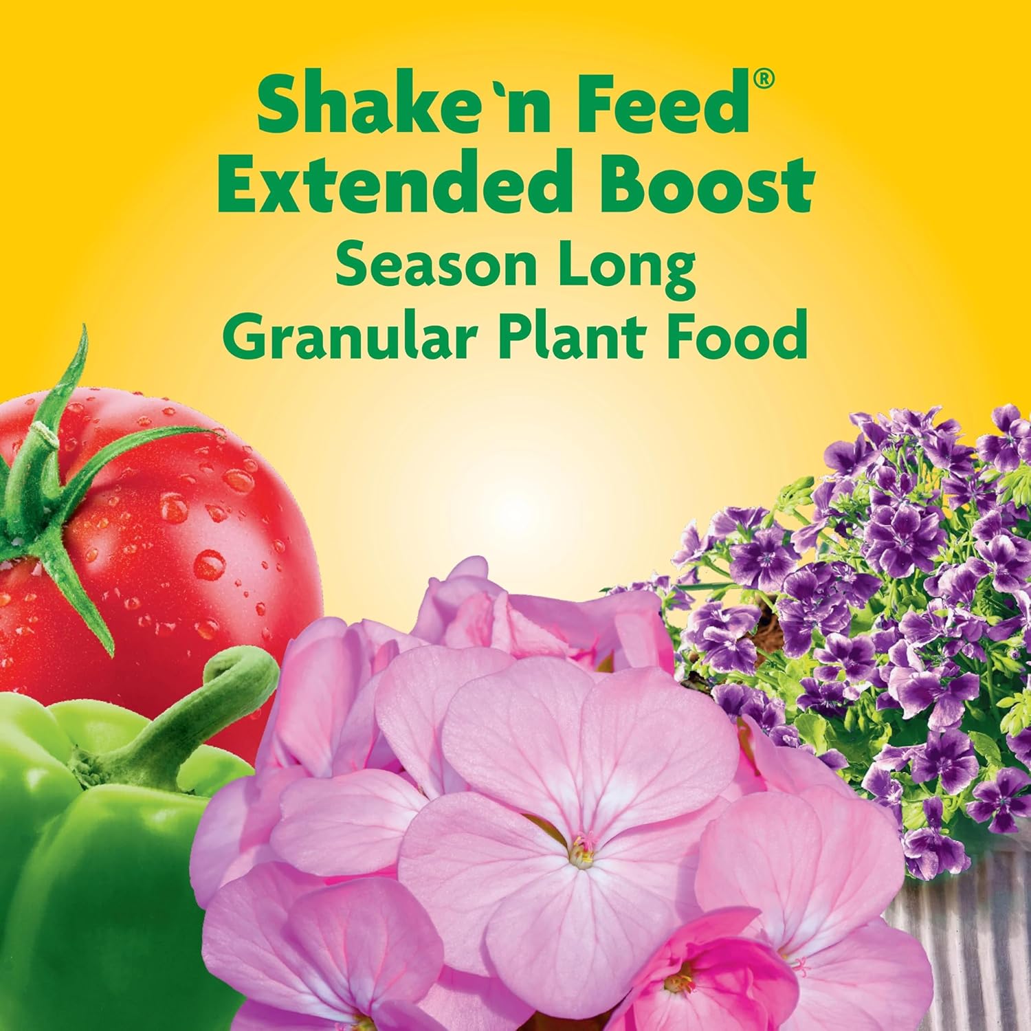 Miracle-Gro Shake ‘n Feed Extended Boost, fertilizante para plantas, alimenta hasta 6 meses, 3 libras.