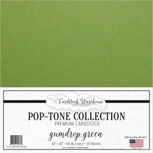 Gumdrop – Papel de cartulina verde, 12 x 12 pulgadas, 65 libras, cubierta premium, 25 hojas de Cardstock Warehouse Gumdrop – Papel de cartulina verde, 12 x 12 pulgadas, 65 libras, cubierta premium, 25 hojas de Cardstock Warehouse