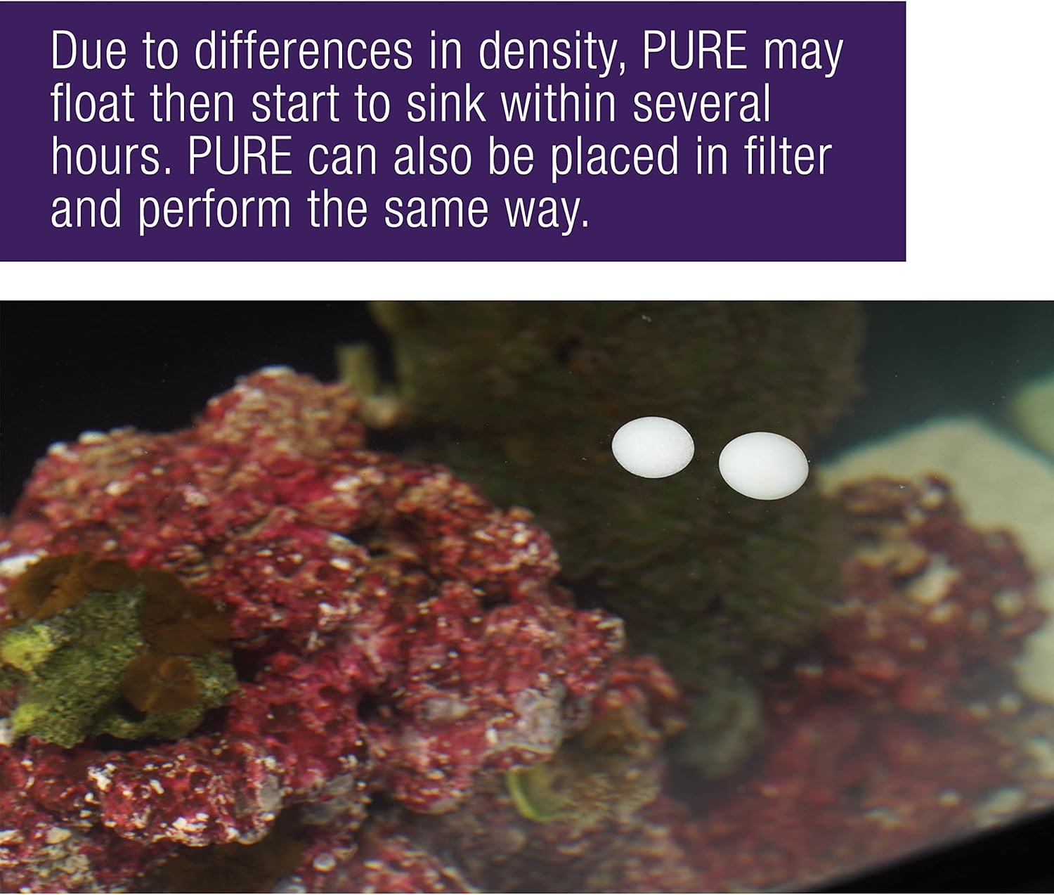 Coralife Tanque de peces de acuario Agua salada marina Suplemento de bacterias para el cuidado del agua pura, paquete de 4