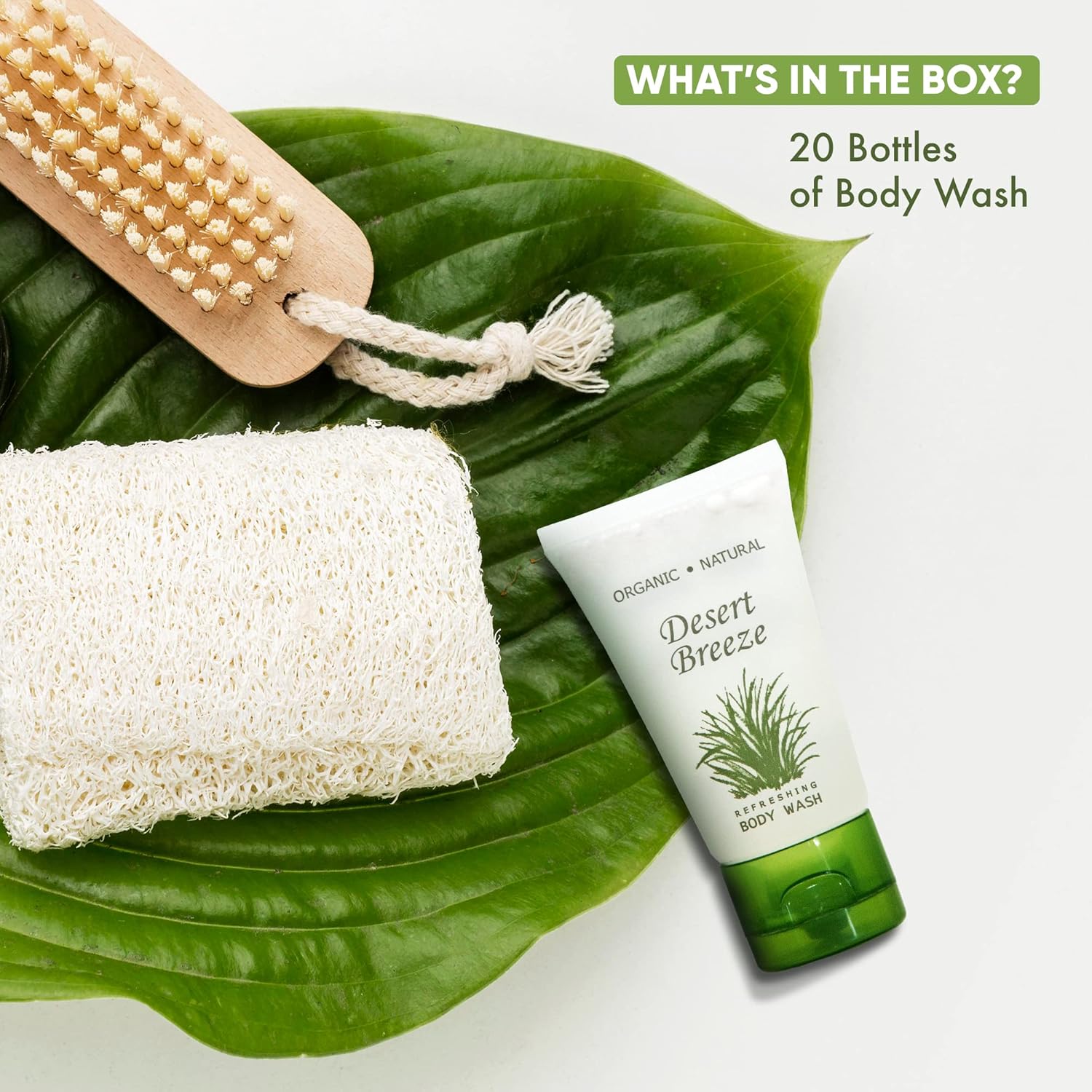 Desert Breeze Gel de baño, artículos de tocador de hotel tamaño viaje, tapa abatible de 1 oz (caja de 20)