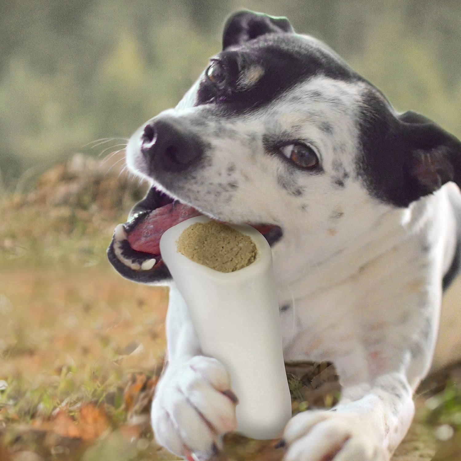 Cadet Espinillera rellena  Hueso masticable para perros altamente digerible, alto en proteínas, de larga duración para masticadores agresivos, apoya
