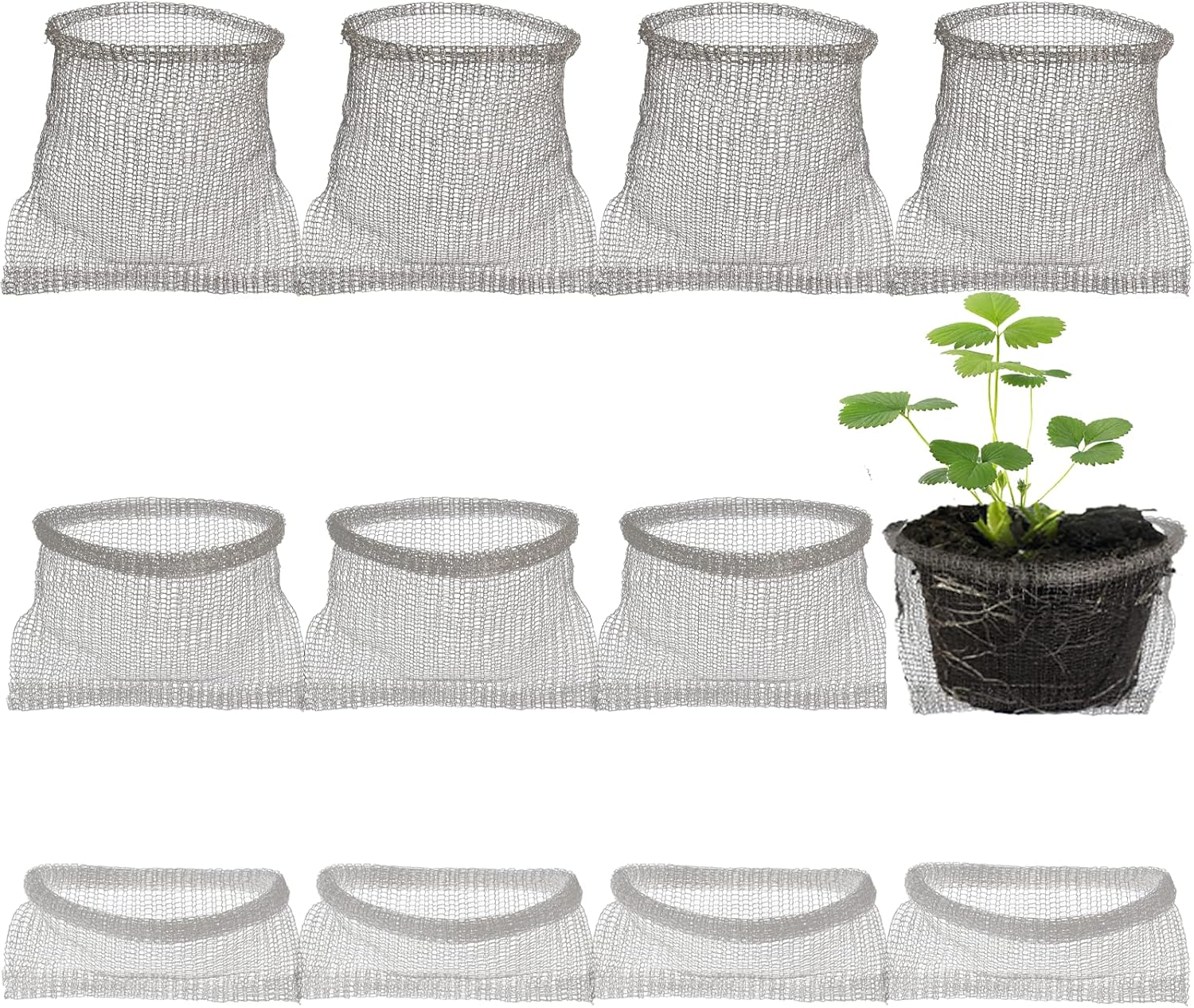 12 cestas de alambre de 5 galones, cestas de alambre de raíz de plantas para subterráneos de 3 galones, malla de alambre de acero inoxidable para