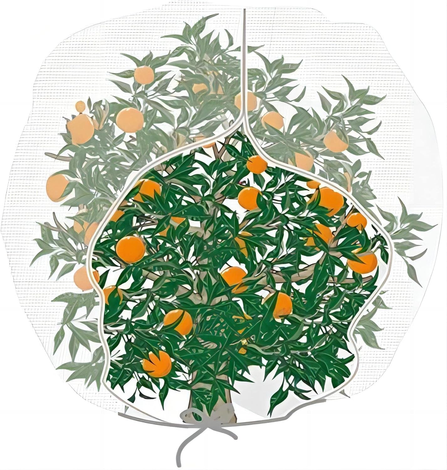 Agfabric Bird Netting – Red de jardín de 84 pulgadas de alto x 72 W, barrera de plagas de insectos, cubierta de plantas para árboles frutales, bolsa