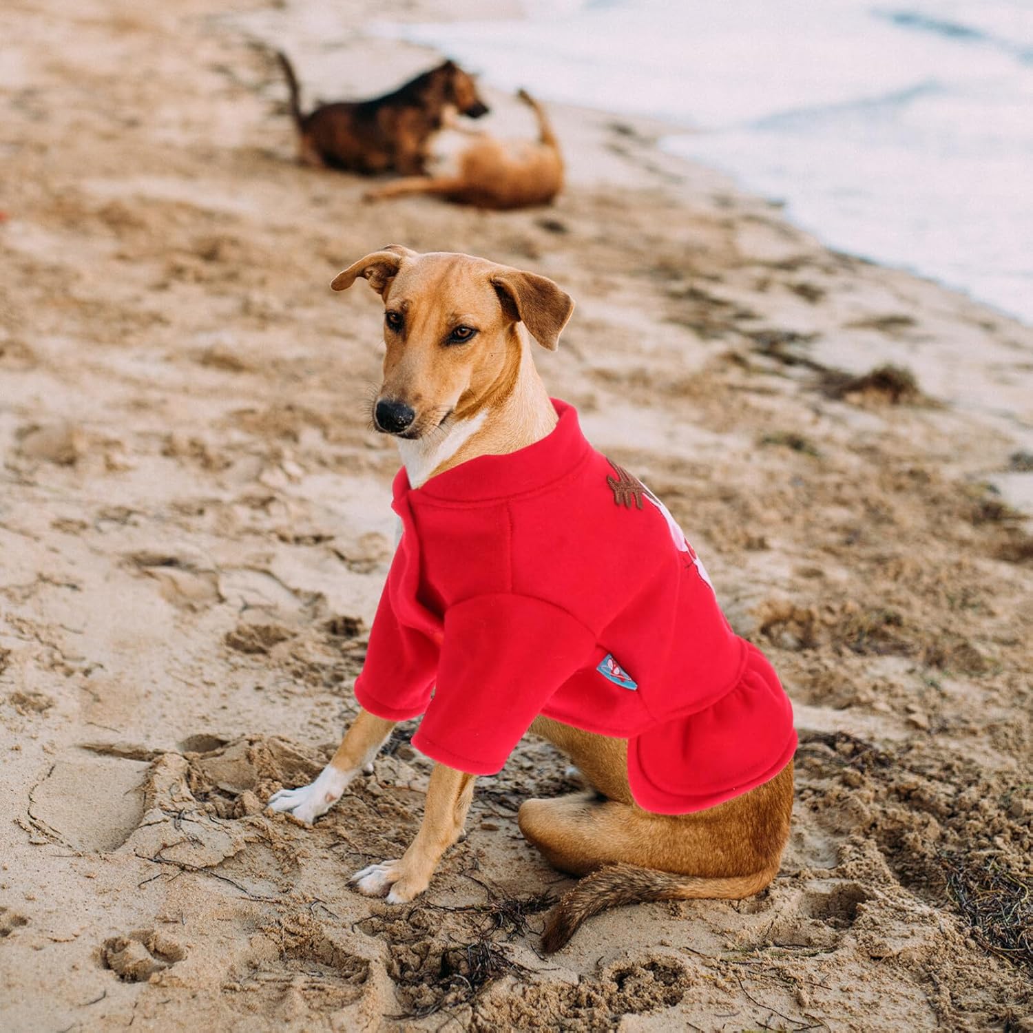 POPETPOP Vestido de Navidad para perro, falda de disfraz de Navidad para mascotas, ropa para perro, ropa de invierno cálido para perro, ropa de