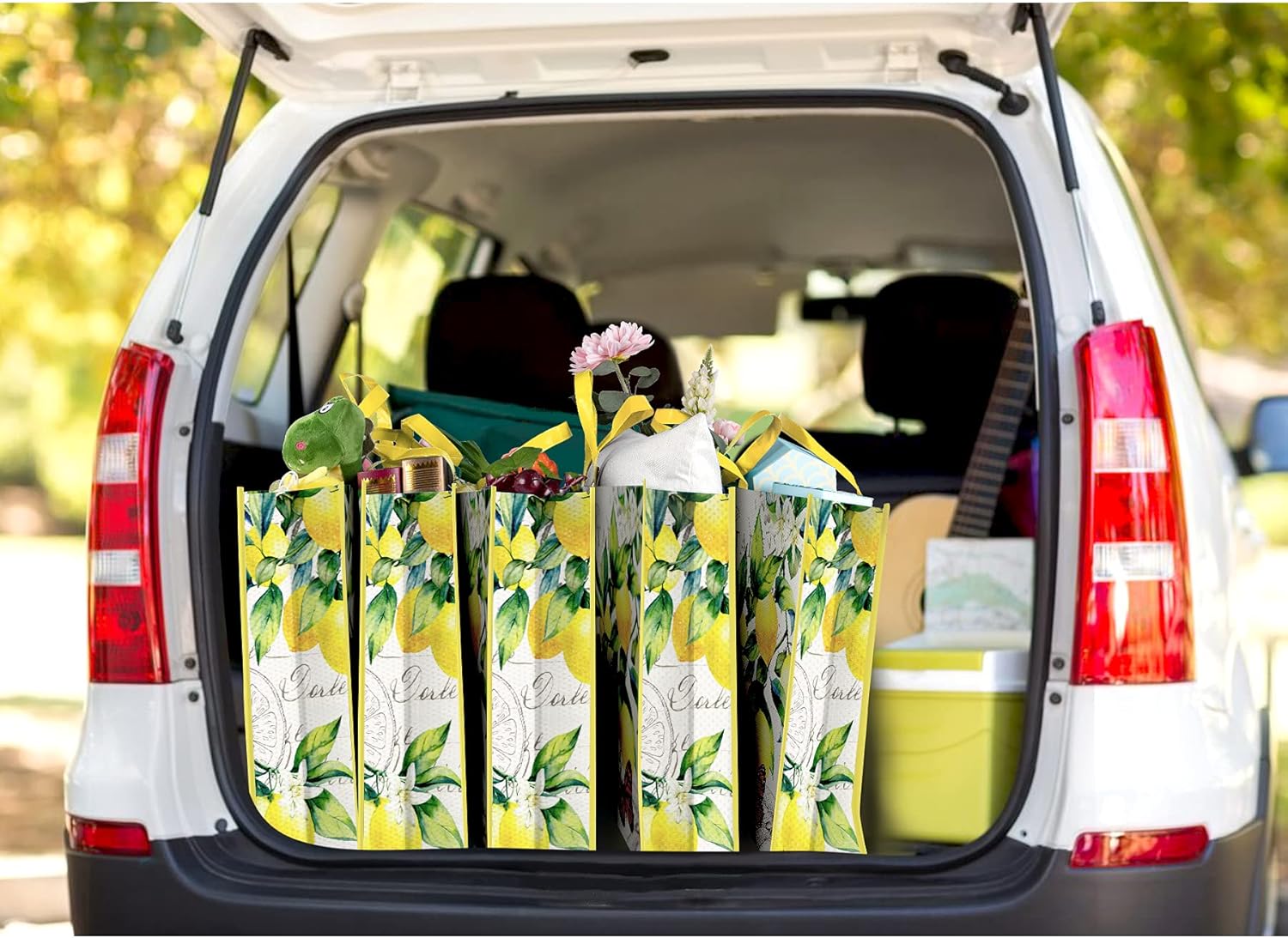 NymphFable Paquete de 5 bolsas de compras reutilizables con limones, pájaros, mariposas, lavables, bolsas de tela