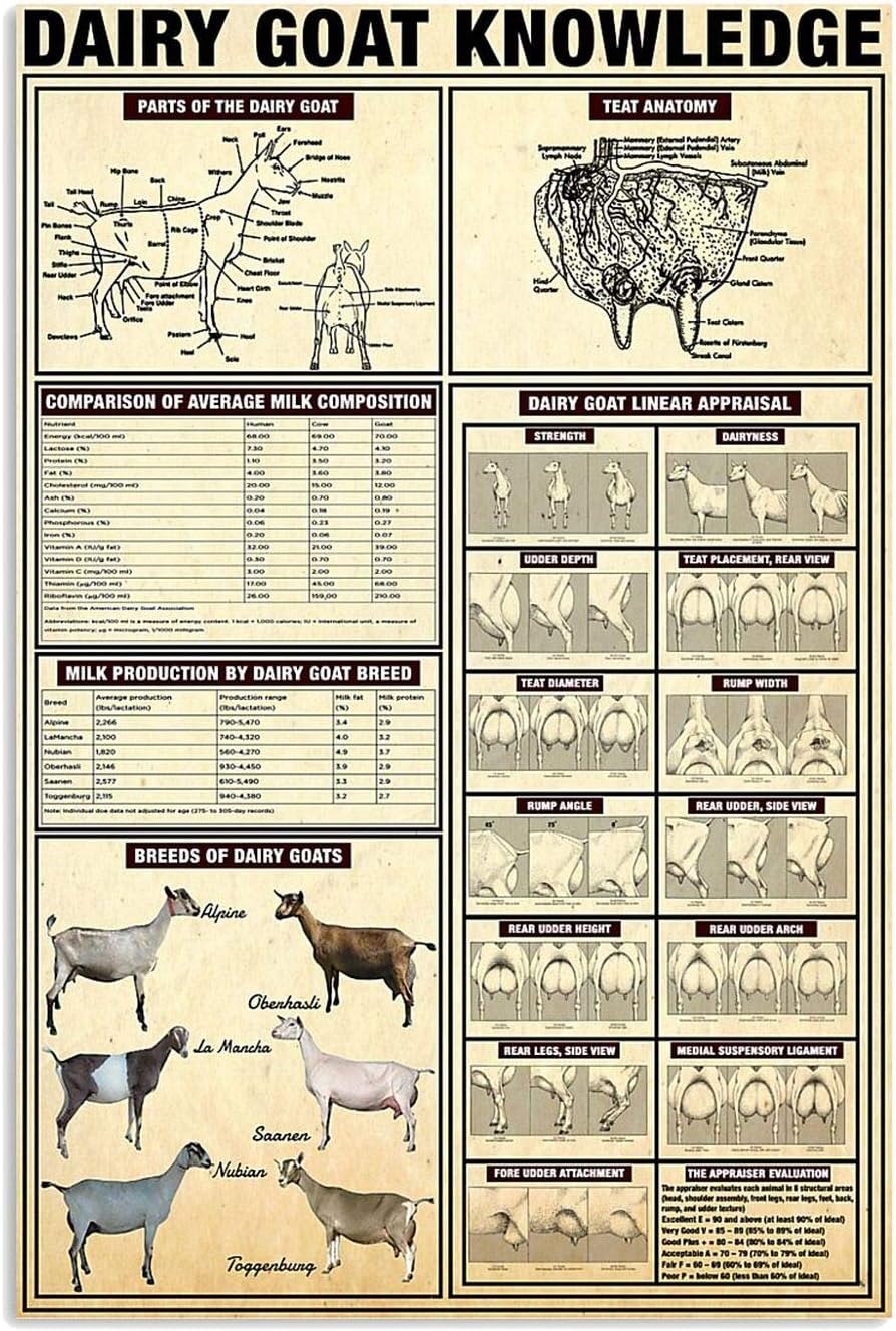 Carteles de metal de conocimiento de cabras lecheras de cabras lecheras, carteles de pastores, guías de estudio, placas de guía de estudio,