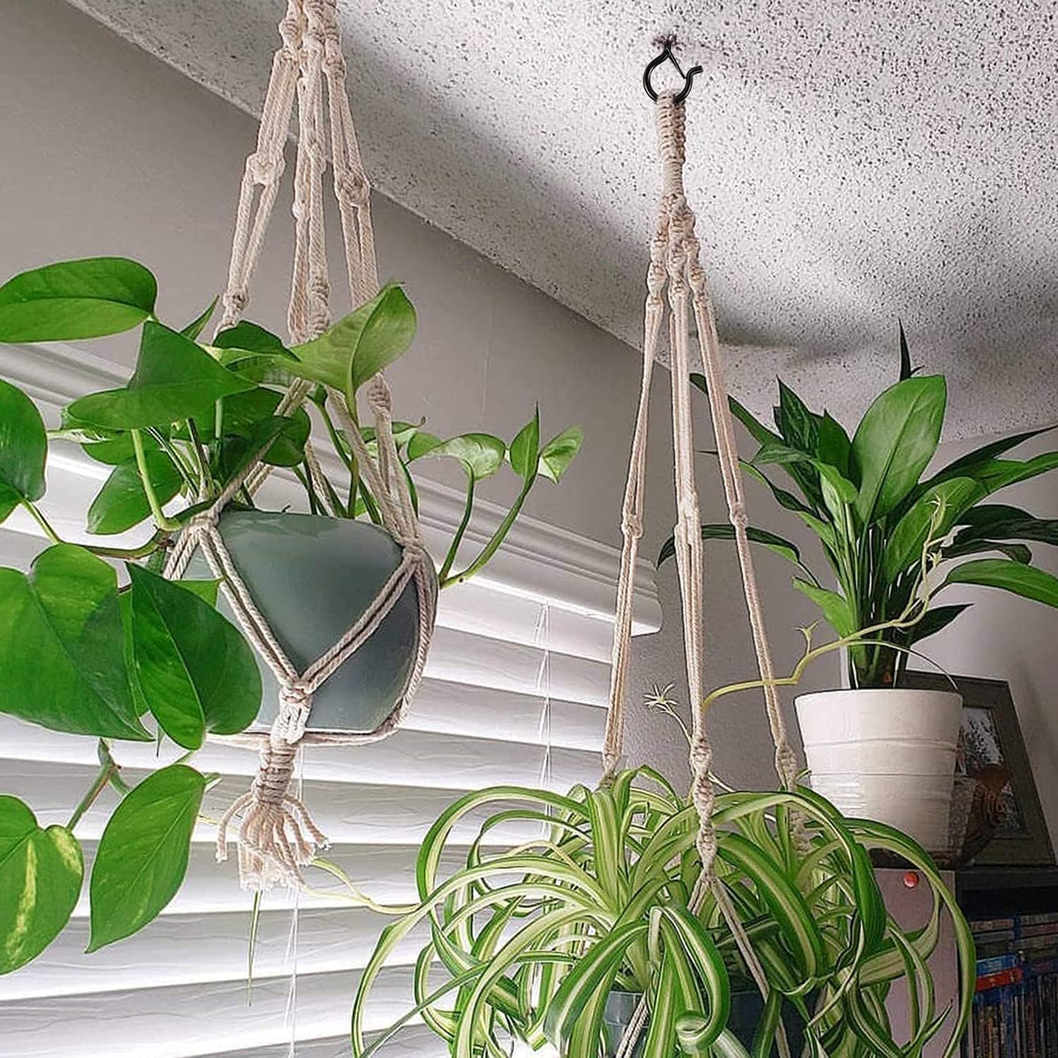 12 ganchos para luces de cadena, ganchos Q con hebilla de seguridad para plantas de techo, ganchos de luz al aire libre resistentes al viento para