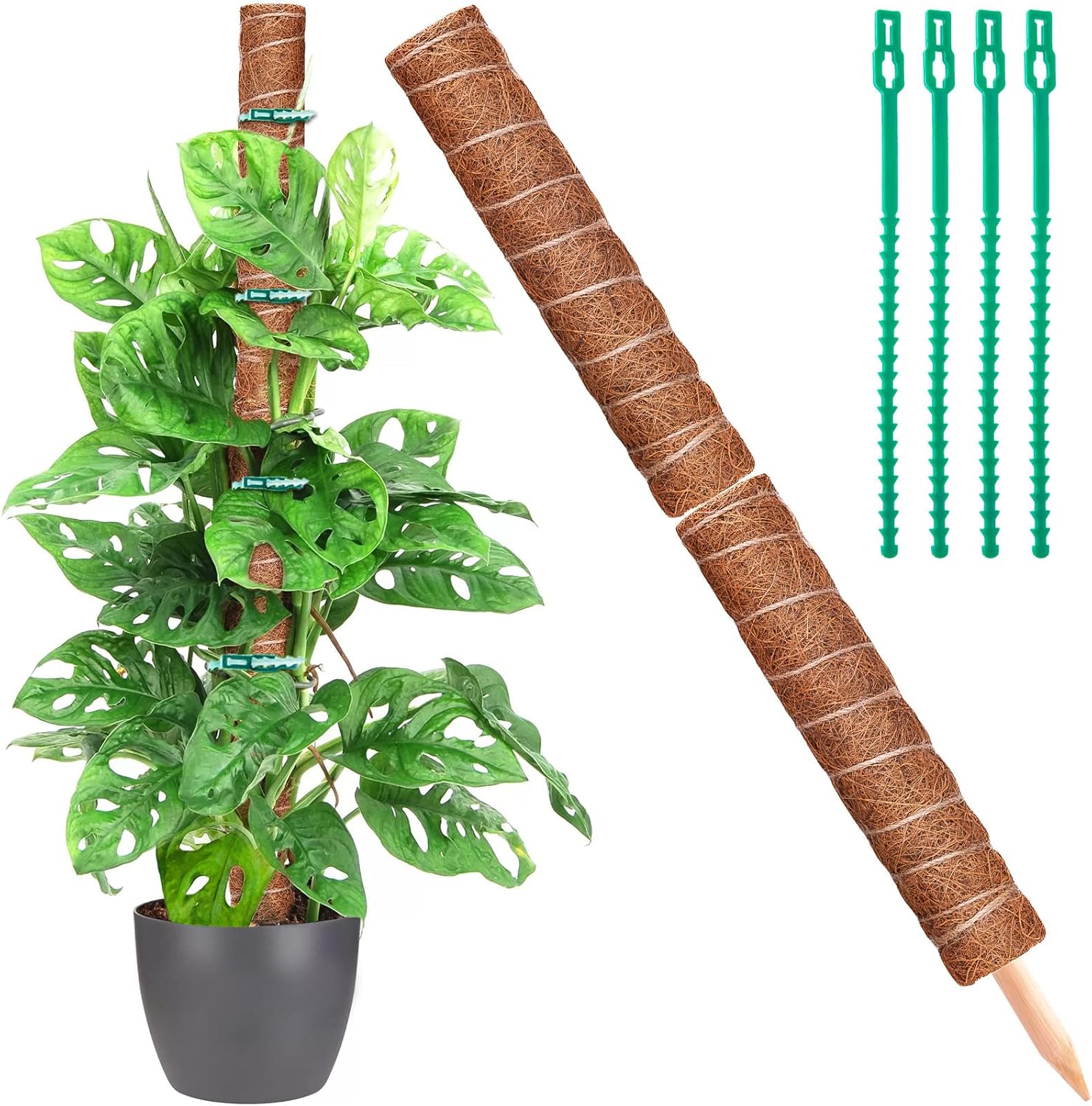 Bastón de musgo de 32 pulgadas, paquete de 2 postes de tótem de fibra de coco de 16 pulgadas para potos, palo de planta de musgo, estaca para