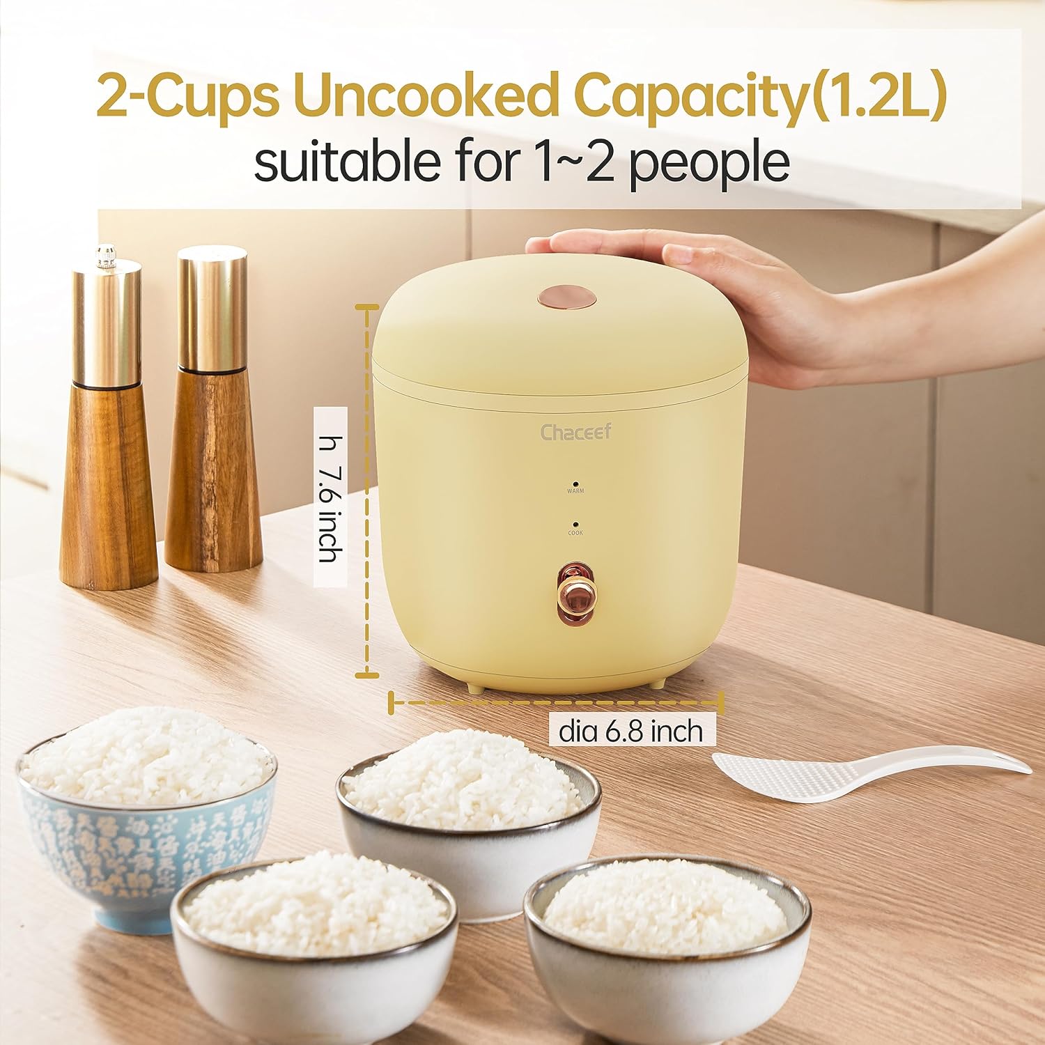 CHACEEF Mini olla arrocera de 2 tazas sin cocinar, olla arrocera de 1.2L pequeña con olla antiadherente, olla arrocera pequeña con función de un