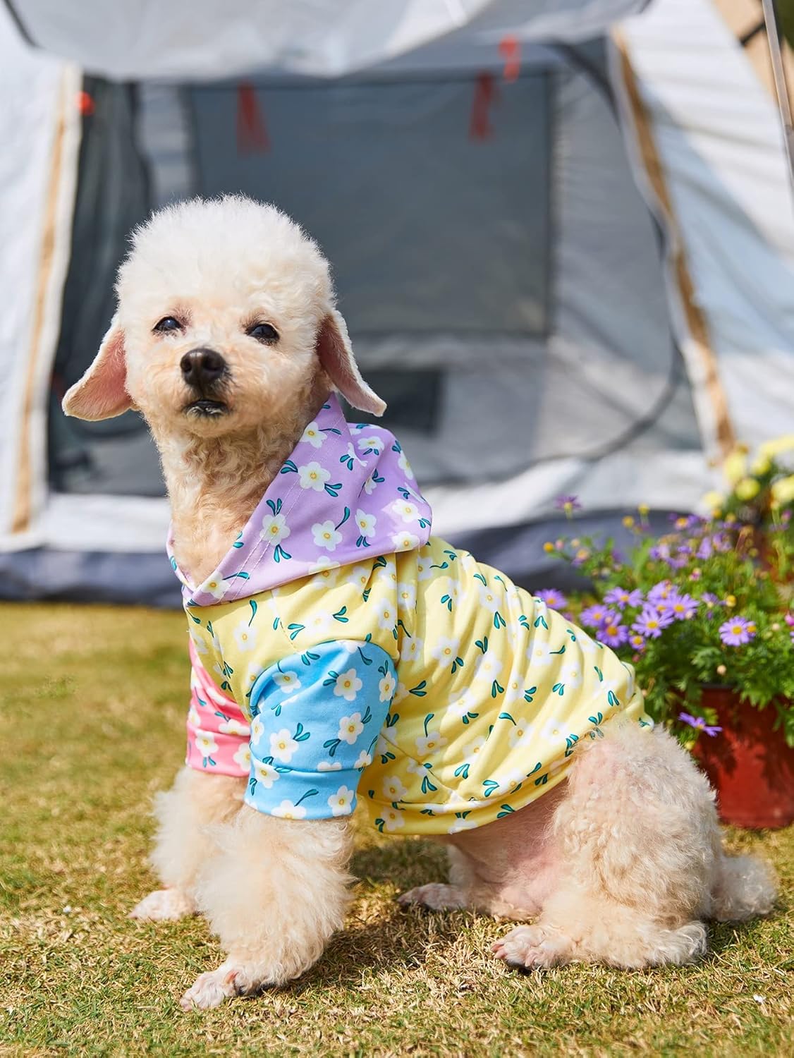 QWINEE Camisa con estampado floral para perro, ropa para cachorros, sudadera suave con capucha para gatos, ropa transpirable para mascotas para