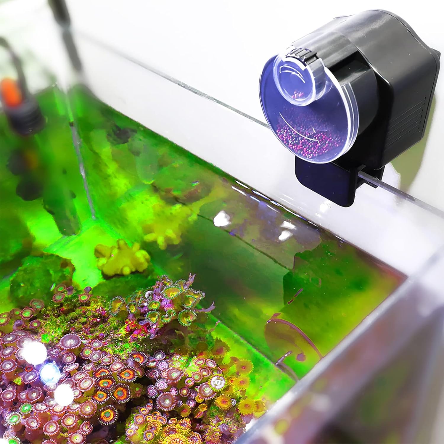 TOPINCN Alimentador automático para peces, temporizador automático para acuario, dispensador de alimentos para peces para acuario o peces