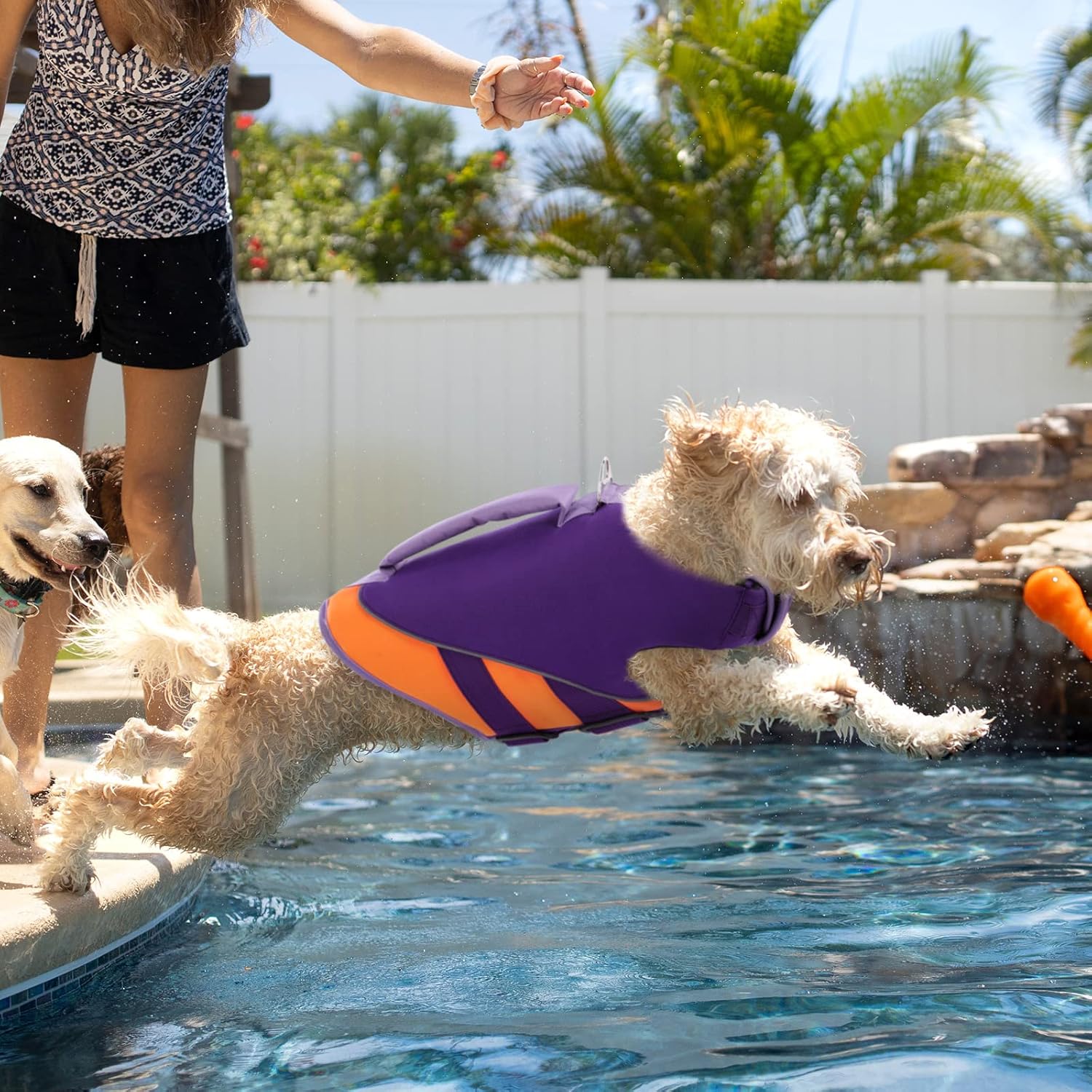 Queenmore Chaleco salvavidas para perros, para nadar, navegar, chaleco salvavidas para perros grandes y medianos, chaleco salvavidas para mascotas
