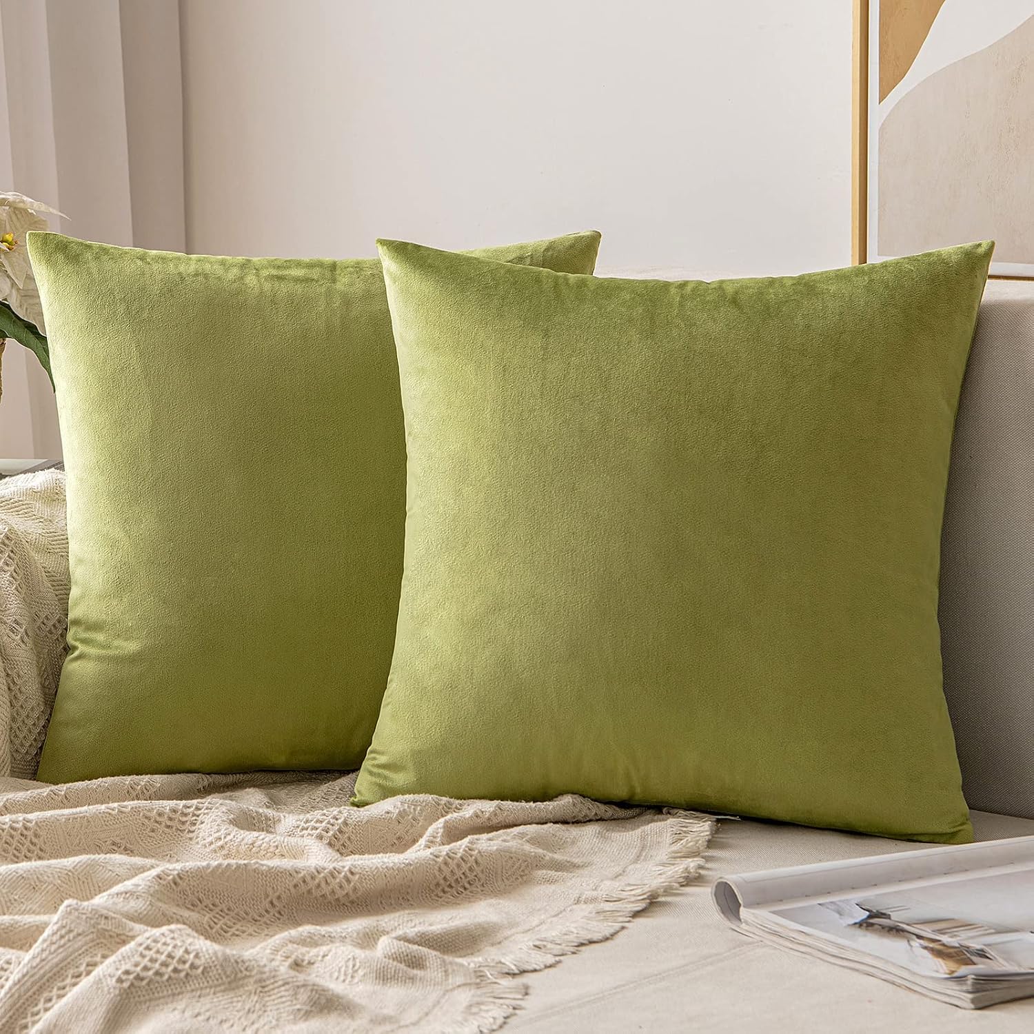 MIULEE Paquete de 2 fundas de almohada de terciopelo salvia de 20 x 20 pulgadas, juego de fundas de cojín cuadradas decorativas suaves para sofá de