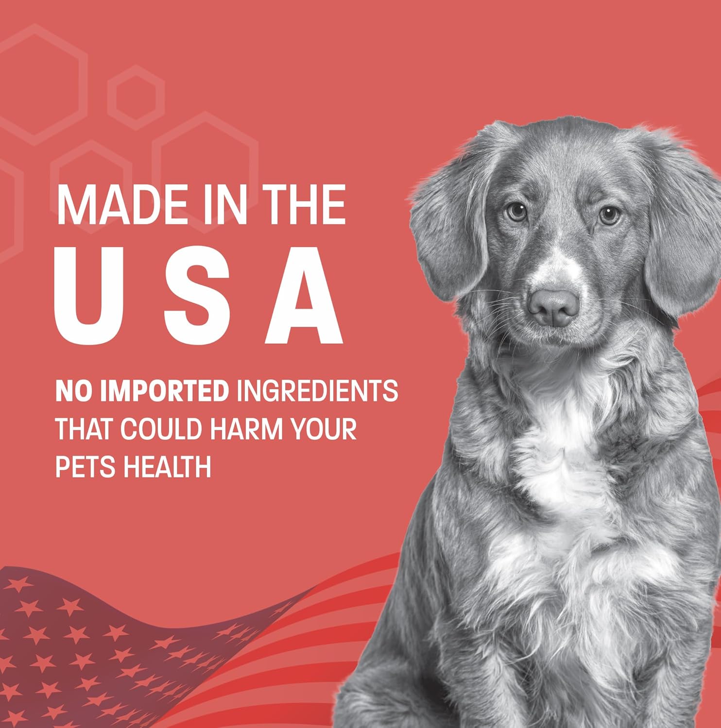 Scoot Stop-Pro – Masticables suaves para perros – Soporte de glándula anal – Fibra de perro para perros Calabaza para la digestión de perros – Apoya