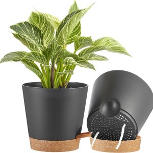FaithLand Paquete de 2 macetas de 8 pulgadas para plantas de interior y exterior, macetas de riego automático con depósito profundo, color negro con FaithLand Paquete de 2 macetas de 8 pulgadas para plantas de interior y exterior, macetas de riego automático con depósito profundo, color negro con