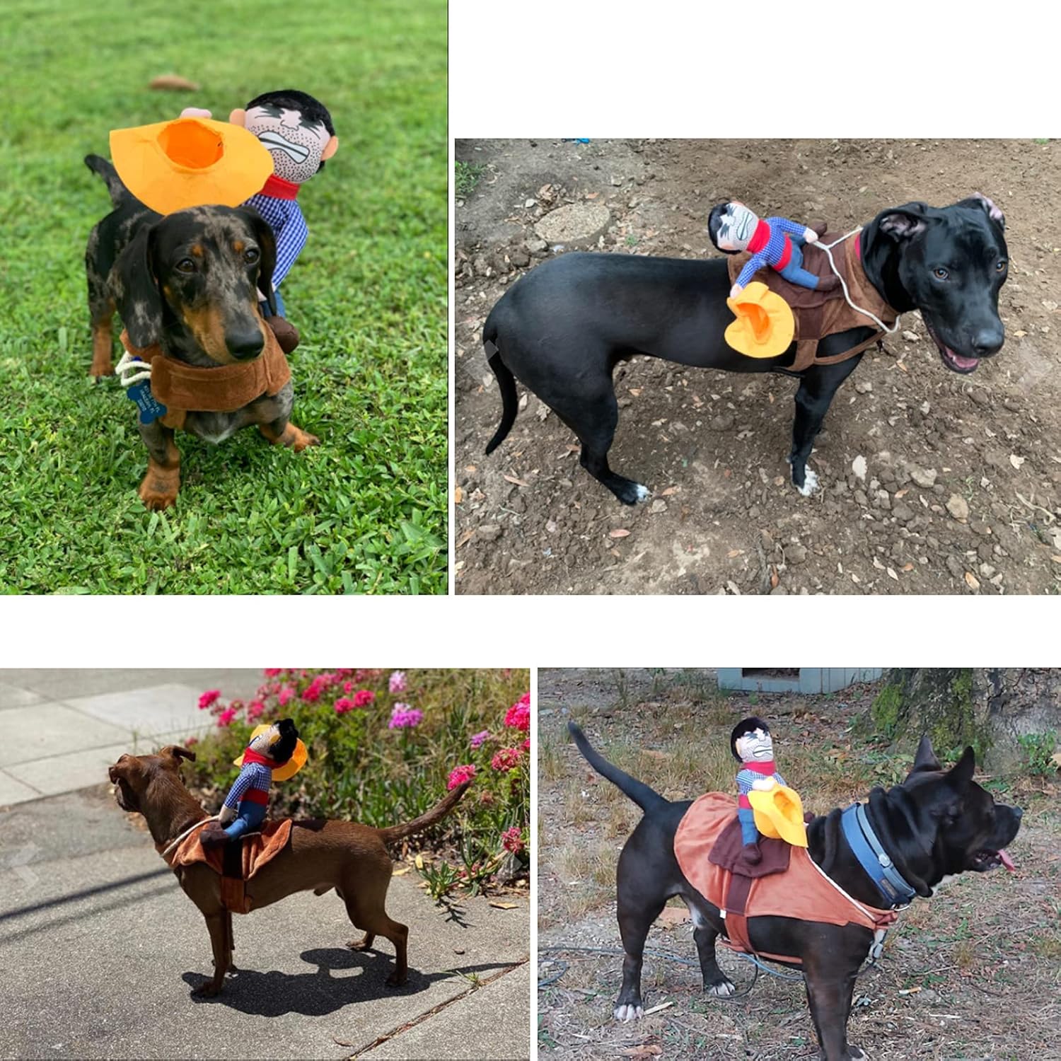 iSmarten Disfraz de vaquero para perro, disfraz de caballero estilo muñeca, sombrero de Halloween, disfraz de mascota (XL)