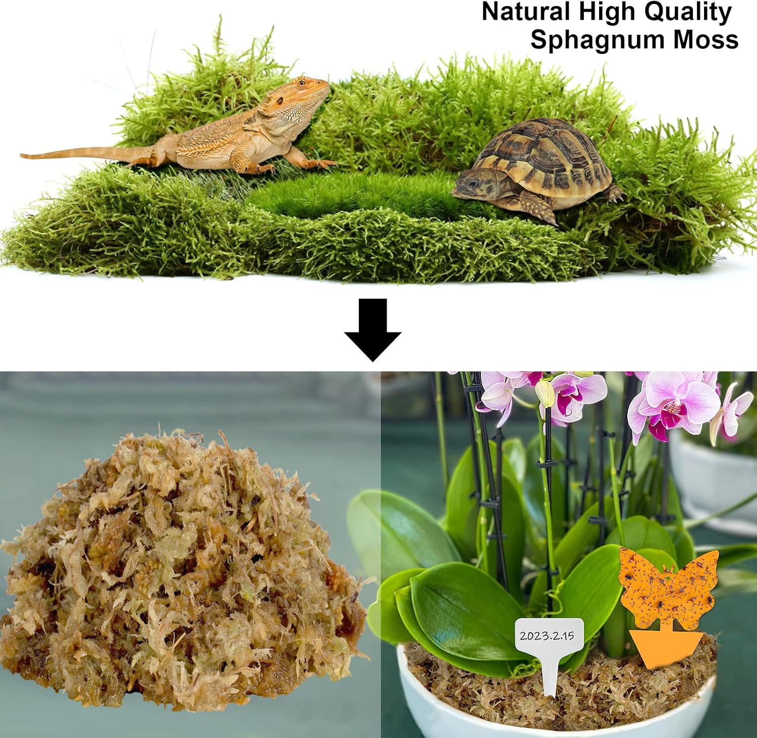 Musgo esfagnum de 2.6 libras para plantas, reptiles de musgo esfagnum para orquídeas para macetas, mezcla de tierra para plantas, musgo de turba,