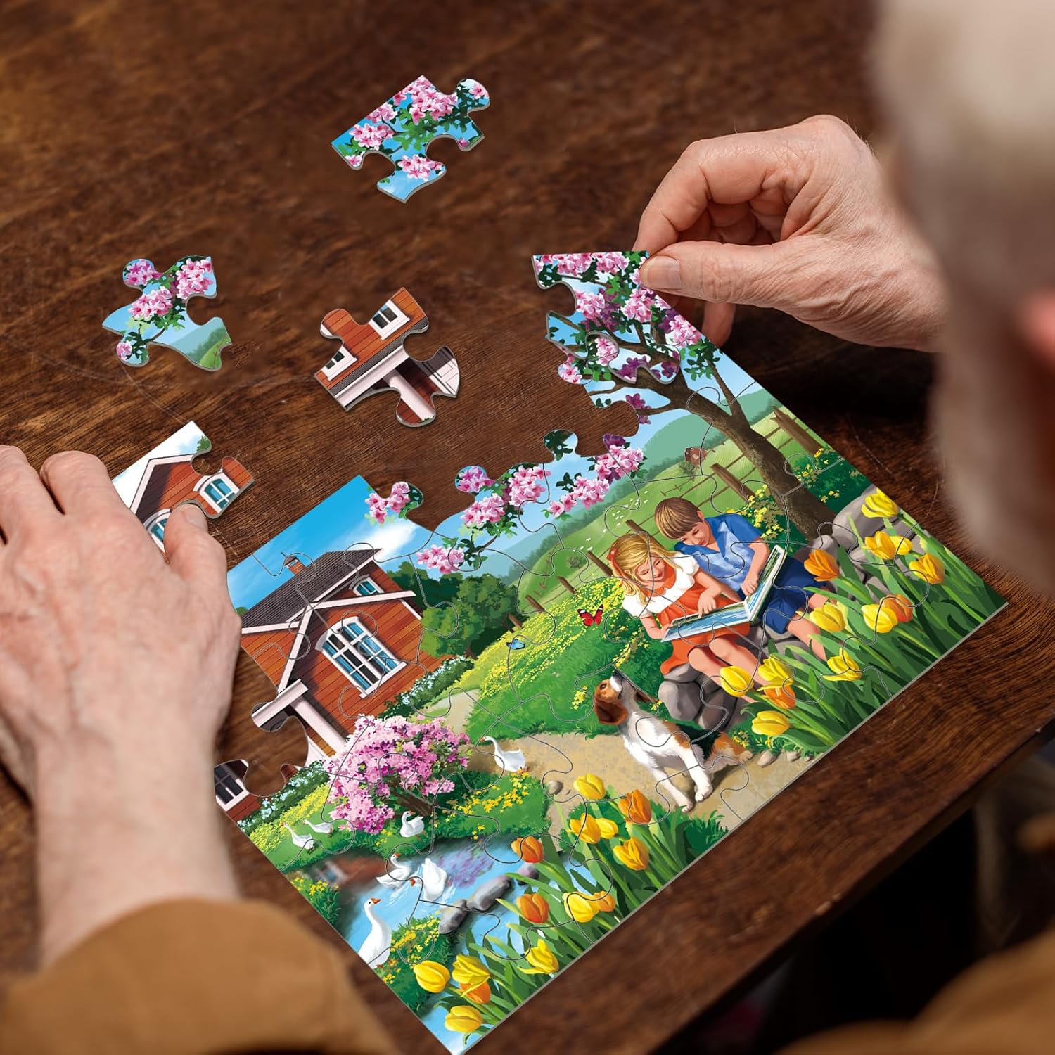 Sunhigh Rompecabezas de demencia para ancianos, rompecabezas grandes de 30 piezas para personas mayores con Alzheimer, actividades de demencia,