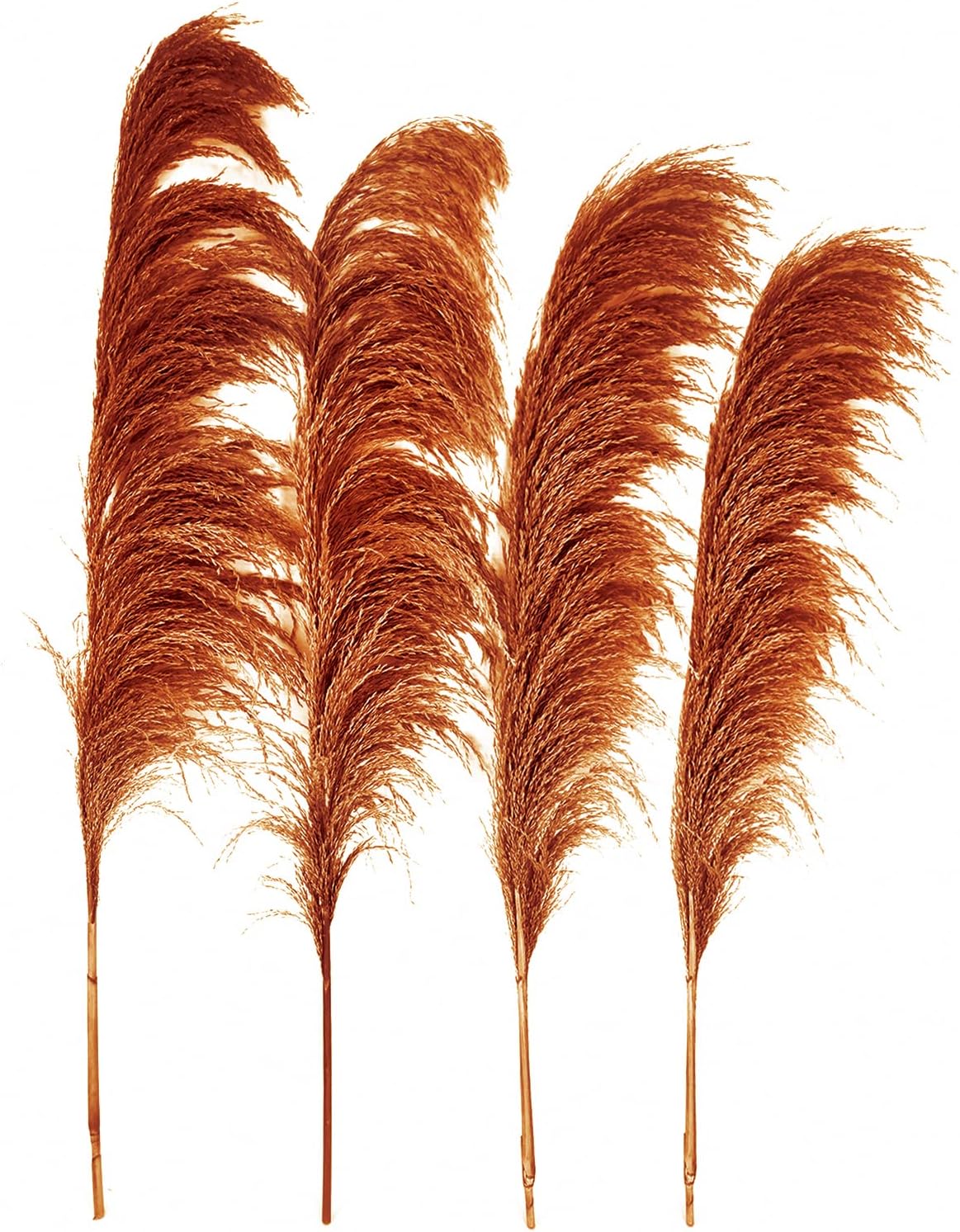 Hierba de pampa naranja quemada alta, 4 pampas marrón natural de 43.3 pulgadas, pompas florales con aroma a flores secas, elegante planta seca