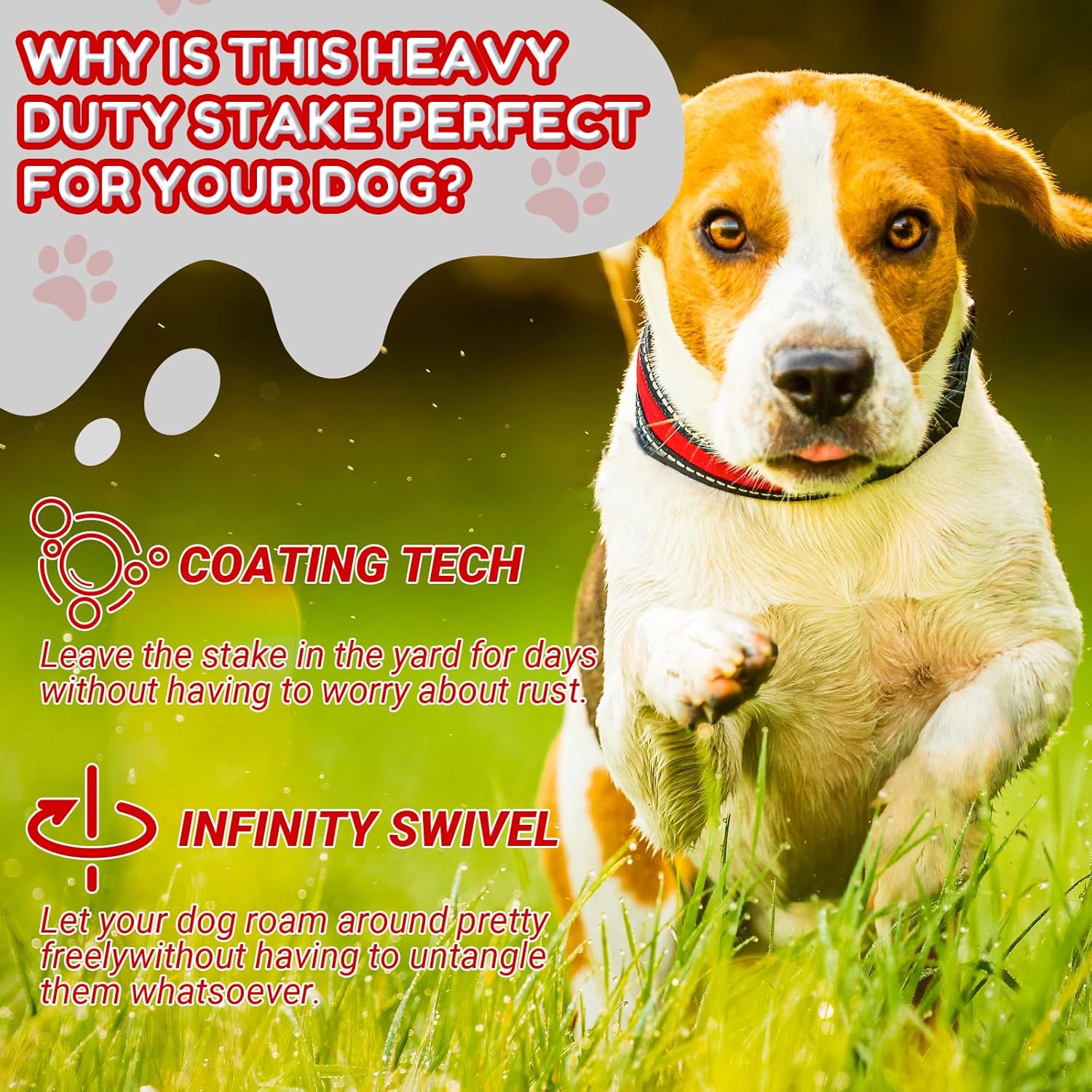 Amylove 2 cables y estaca de amarre para perro, cadena exterior de 16 pies para perros medianos a grandes de hasta 125 libras, estaca espiral