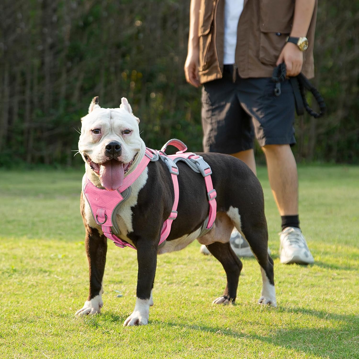 Arnés a prueba de escapes, arnés antideslizante para perro, arnés reflectante con asa, transpirable, duradero, chaleco ajustable para perros
