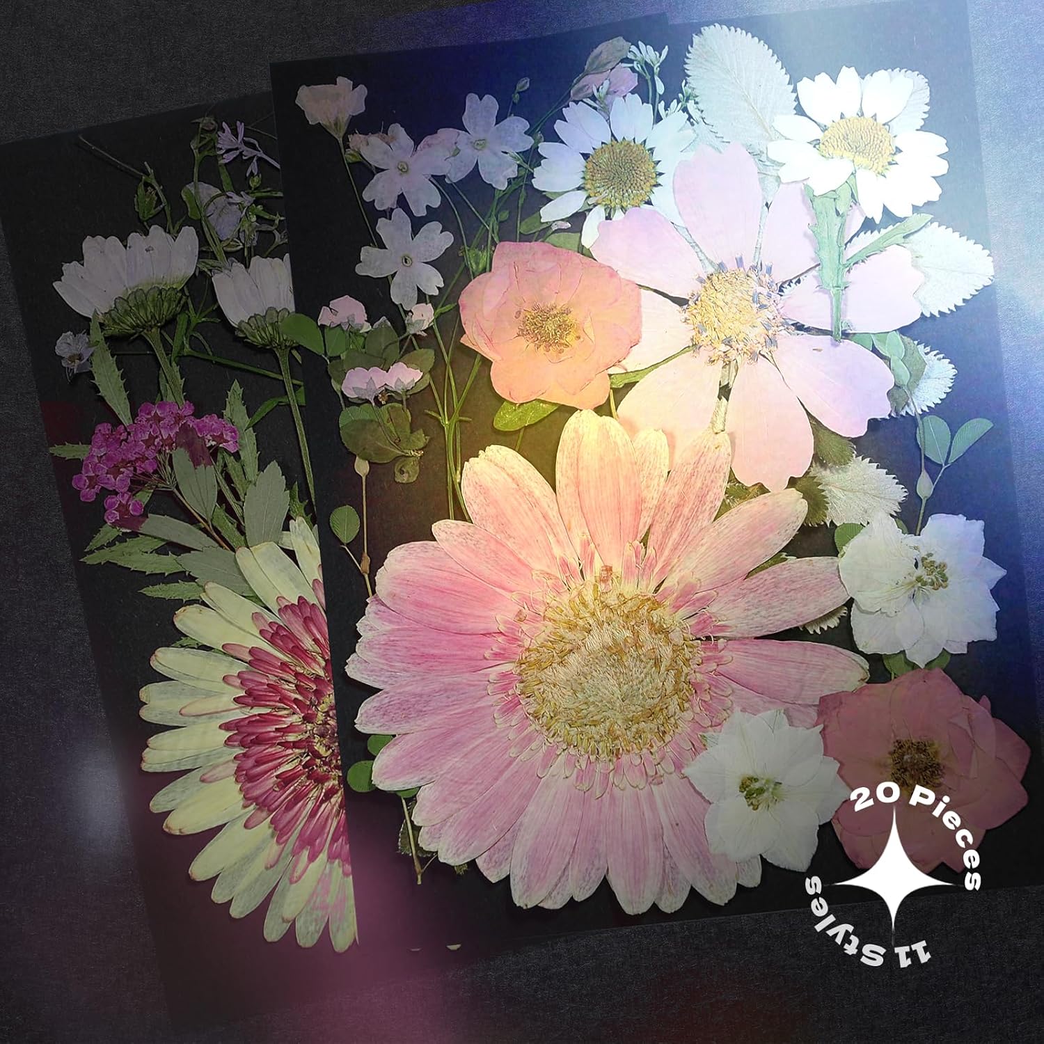 CONVELIFE Flores secas prensadas blancas, juego de 40 piezas de flores naturales reales con pinzas, flores prensadas para resina, bricolaje,