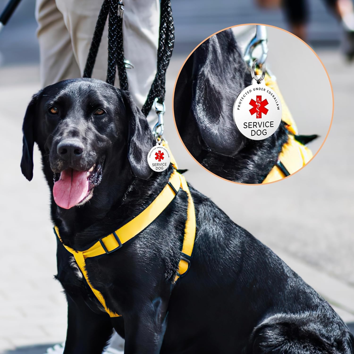 Placa para perro de servicio, etiquetas de perro GISUERY grabadas para mascotas con 4 líneas personalizadas, se fija fácilmente al arnés del chaleco