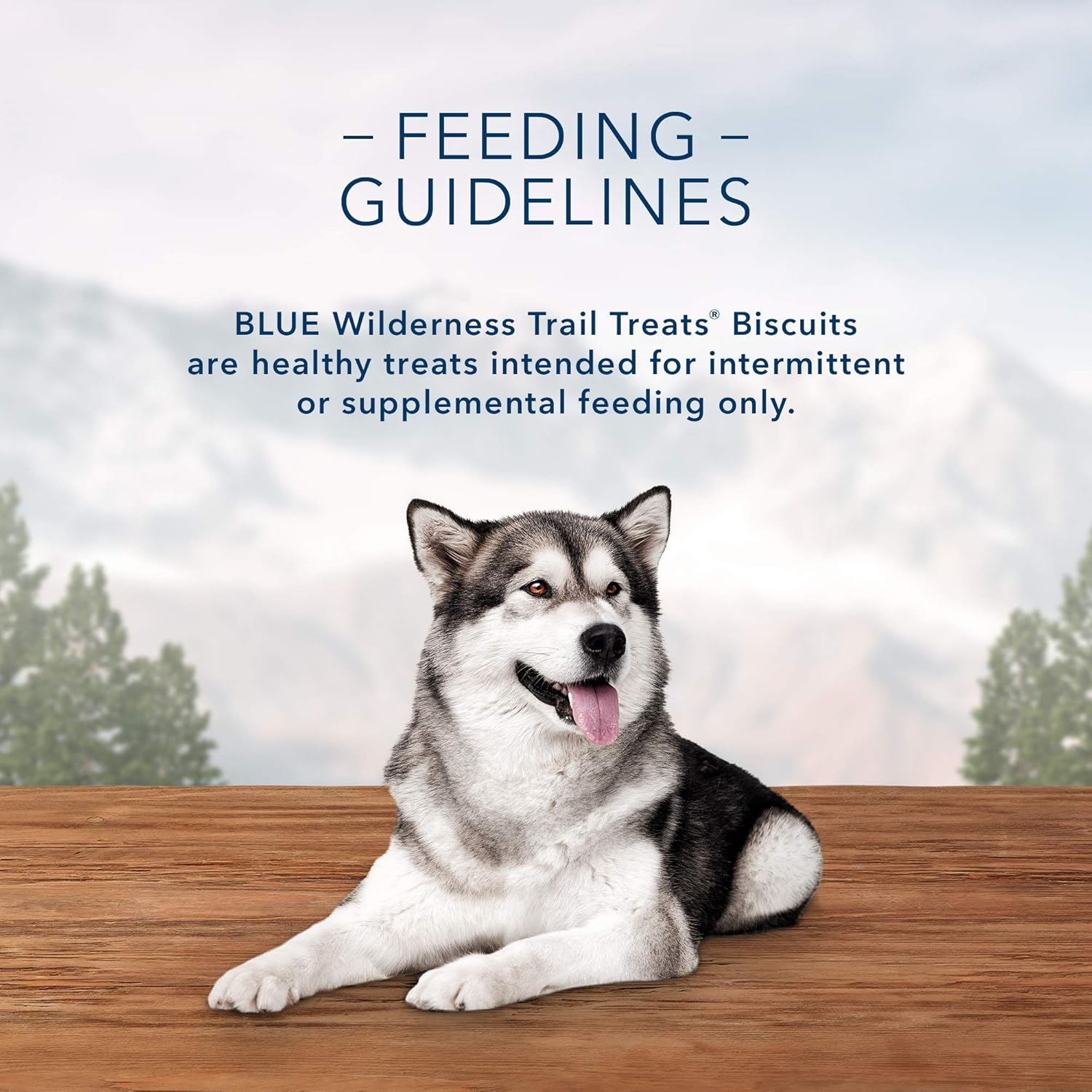 Blue Buffalo Wilderness Trail Treats – Galletas crujientes para perros con alto contenido en proteínas sin granos, receta de pato, caja de 36 onzas