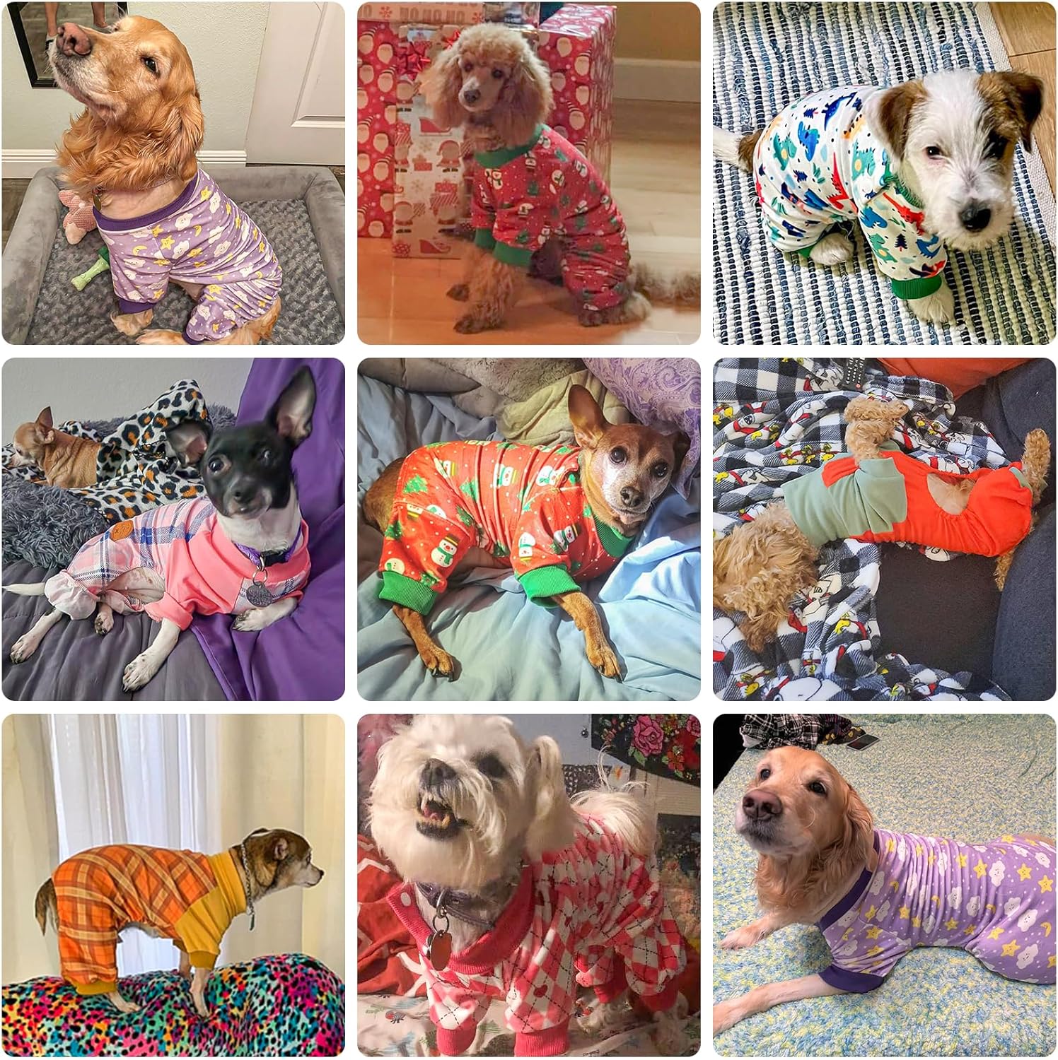 BEAUTYZOO Pijama elástico para perros pequeños y medianos, ropa de terciopelo suave para primavera y verano, para niñas y niños, con cuello