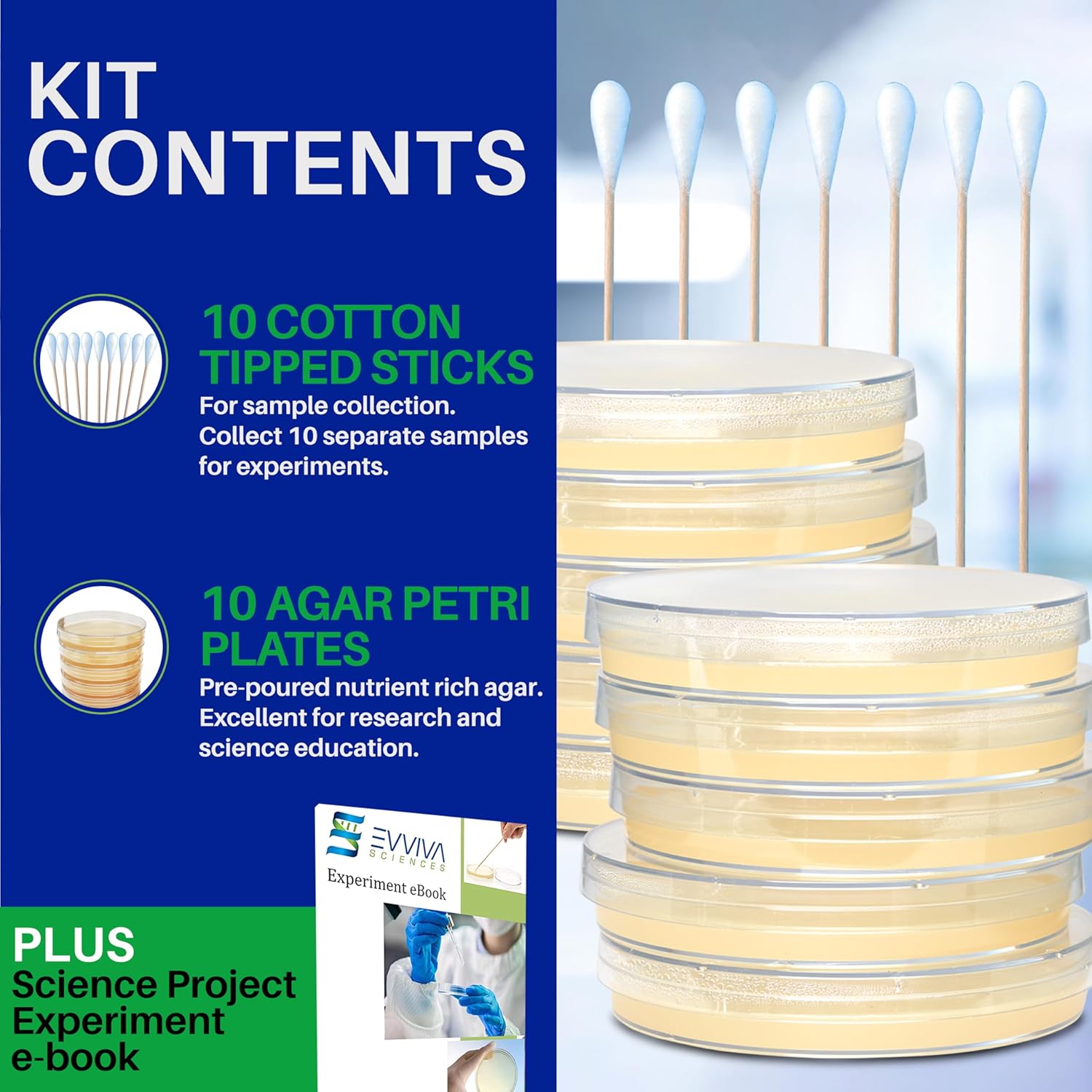 Evviva Sciences – Kit de proyecto científico de placas de agar nutriente de Petri, placas de agar previamente vertidas para experimentos