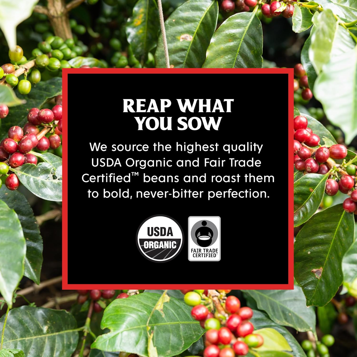Death Wish Coffee – Cápsulas individuales de café tostado oscuro, hechas con certificado orgánico USDA, extra de cafeína (tostado oscuro, 100