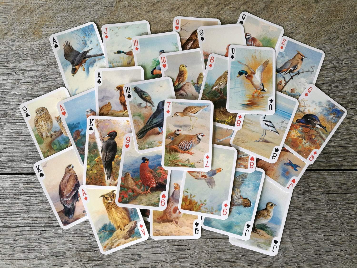 Increíbles aves salvajes naipes (baraja de póquer 54 cartas todas diferentes) Pintura del museo de aves salvajes de oración por Archibald Thorburn