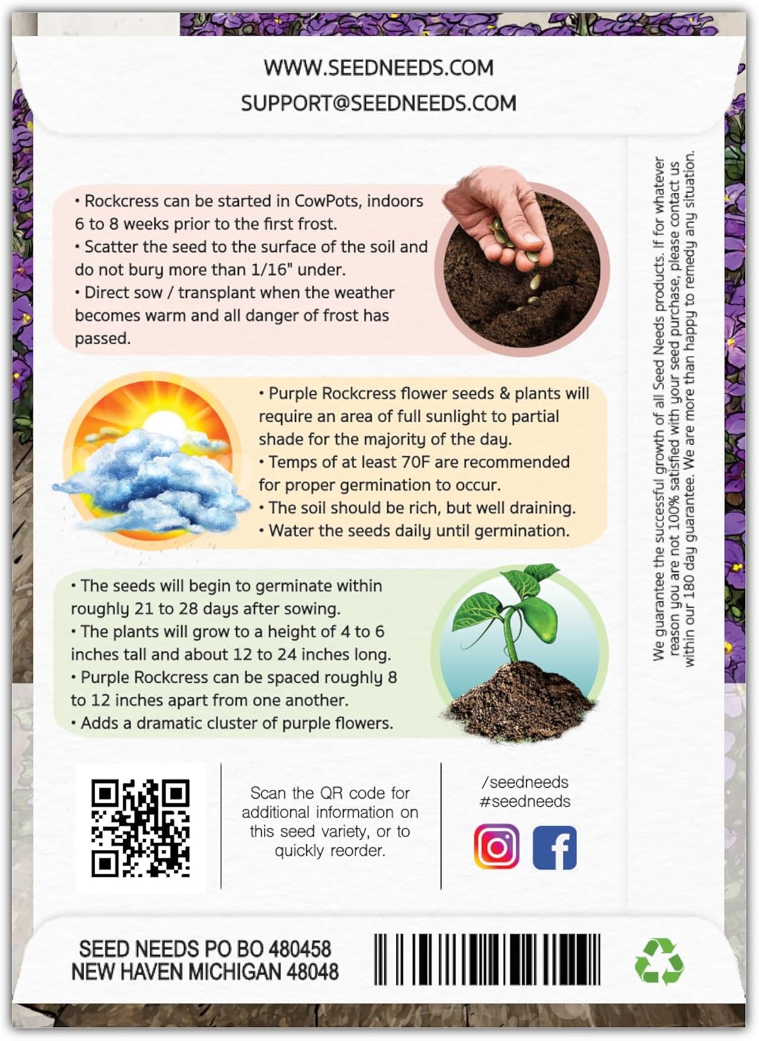 Seed Needs, Purple Rockcress Seeds  1000 semillas de reliquia para plantar Aubrieta deltoidea  Flor perenne ideal para jardines de rocas, cubierta