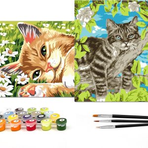 Nariolar Pintura por números para niños de 8 a 12 años con cartón preimpreso de 7 x 9.5 pulgadas, 2 juegos de macetas de pintura acrílica y 3 Nariolar Pintura por números para niños de 8 a 12 años con cartón preimpreso de 7 x 9.5 pulgadas, 2 juegos de macetas de pintura acrílica y 3