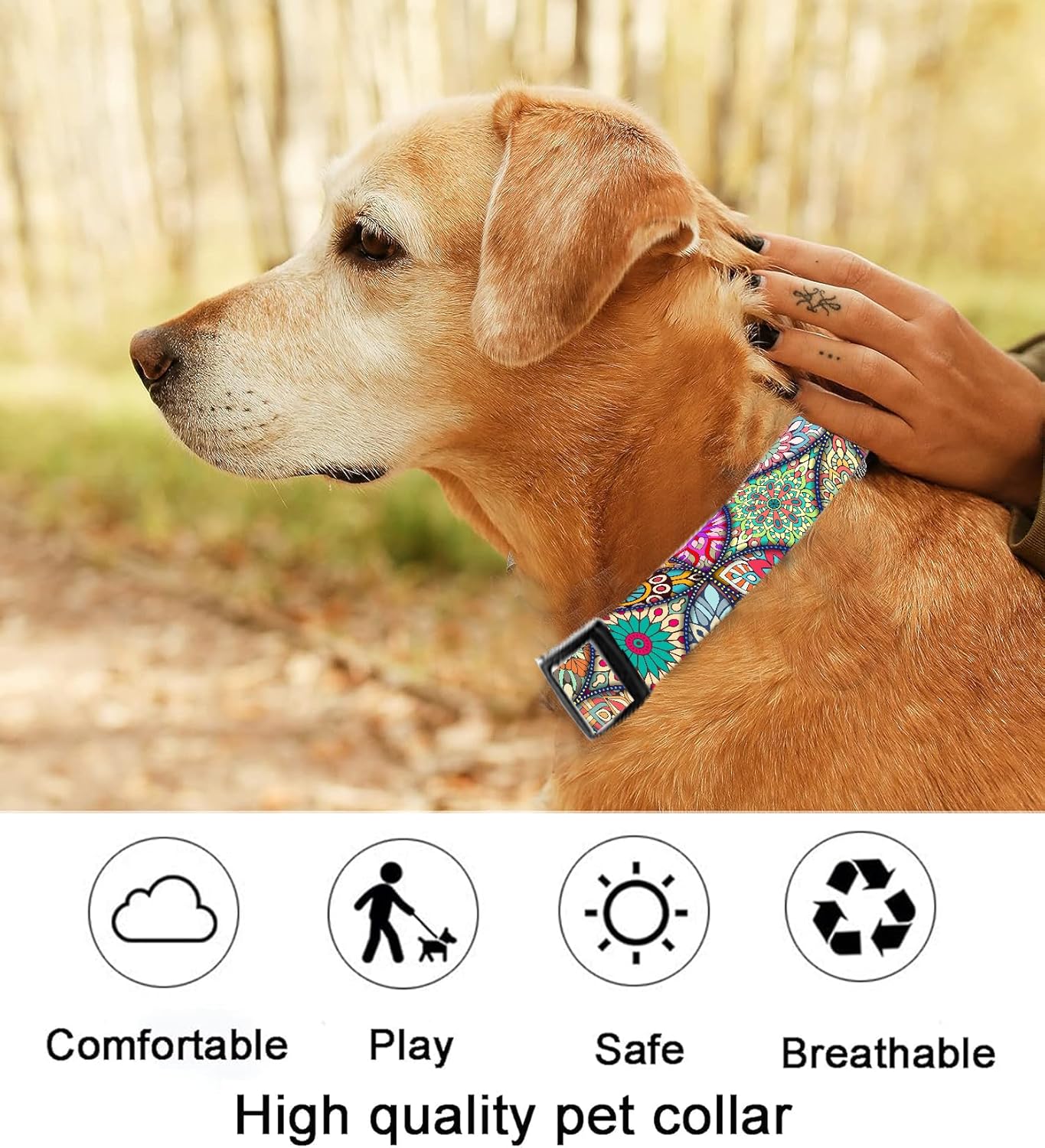 Collar de perro, lindo collar de perro para perros pequeños, medianos y grandes, collares suaves personalizados ajustables para mascotas con hebilla